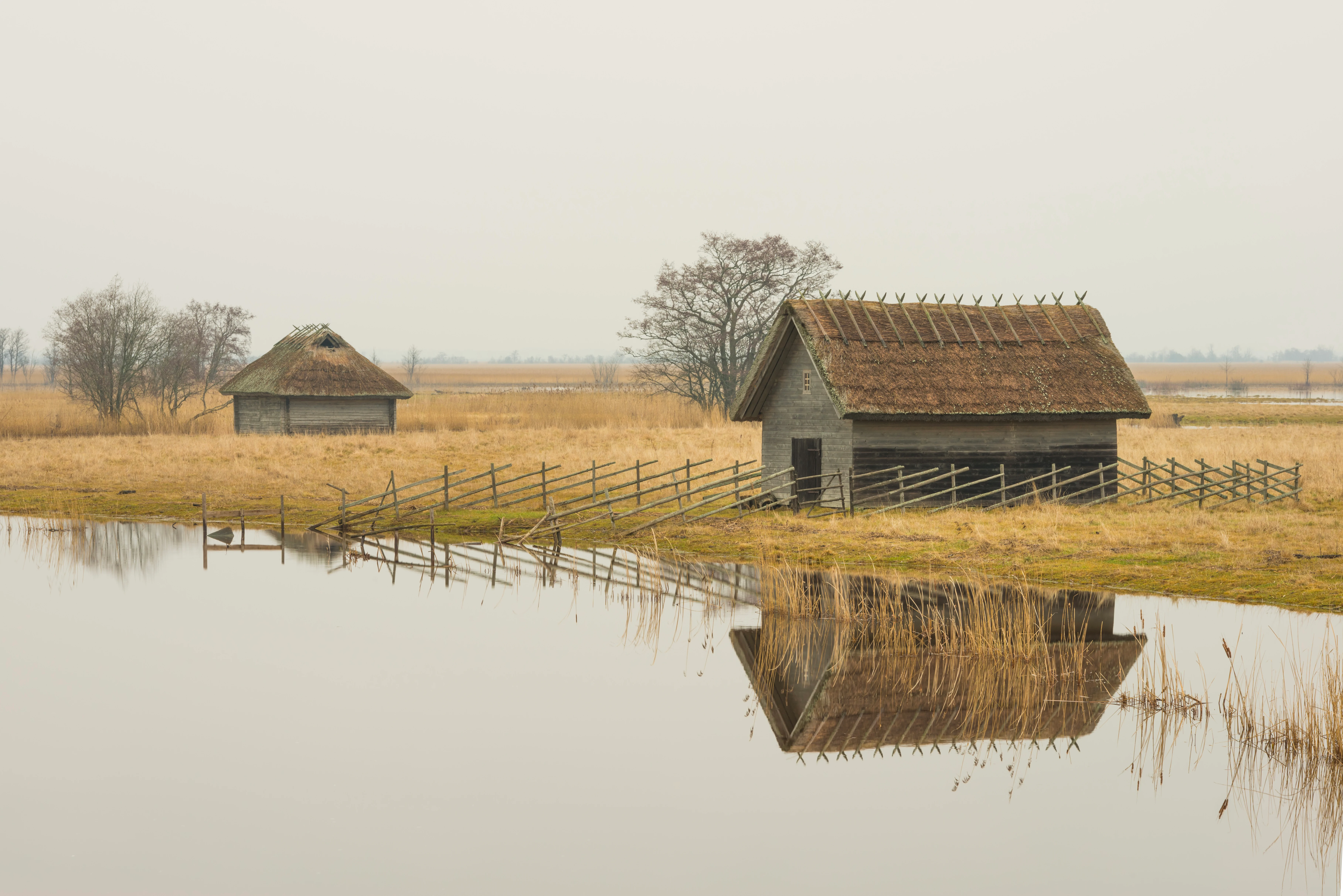 Two wooden huts with thatched roofs beside a calm river, surrounded by wetland grasses and a fence, with reflections in the water