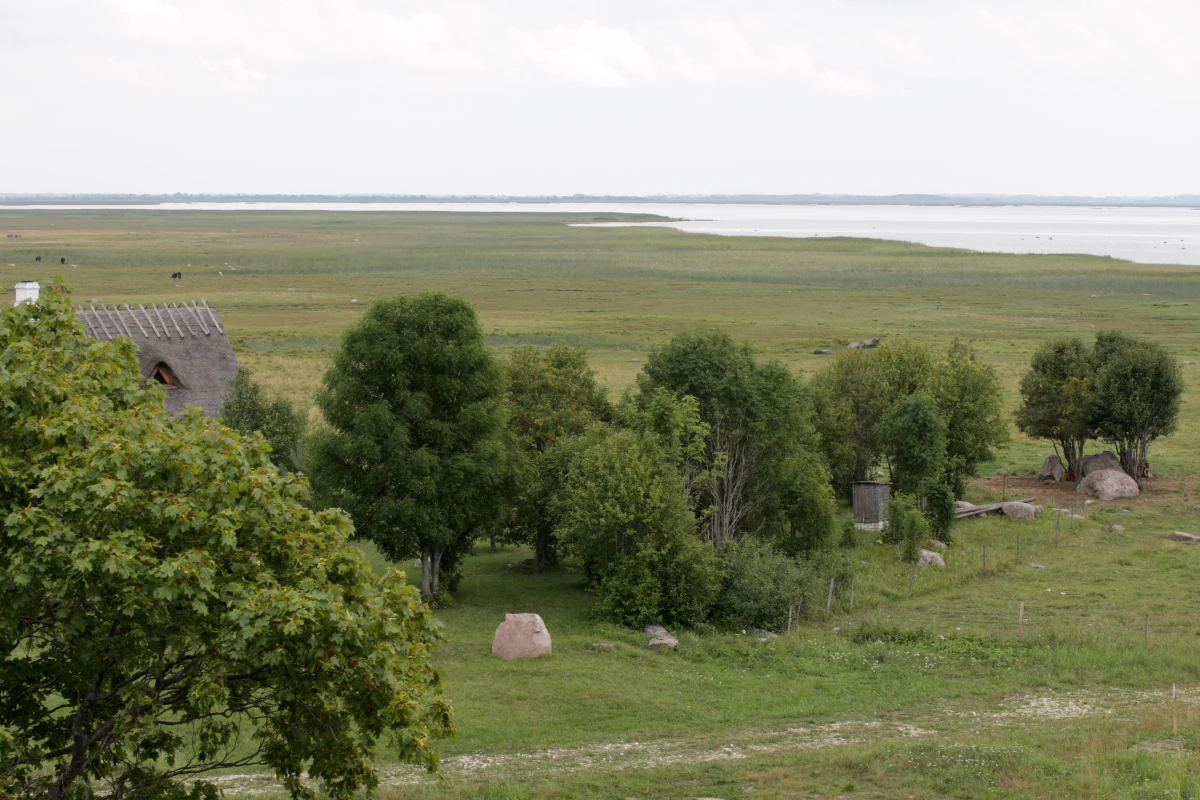 Green fields, scattered trees, a small structure, and distant water under an overcast sky