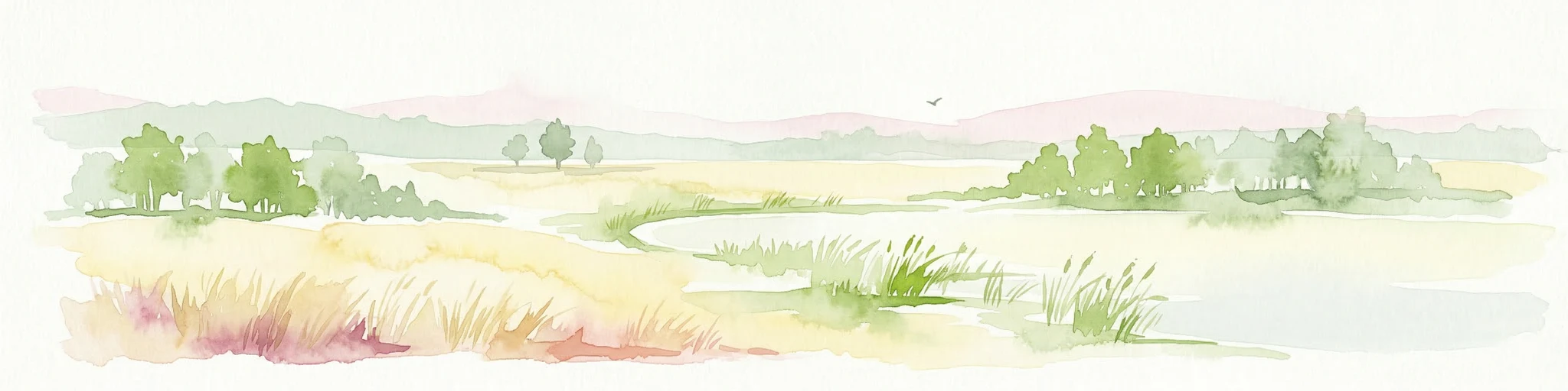 Ilustración en acuarela que muestra un paisaje de humedal con campos de hierba, un río y árboles al fondo