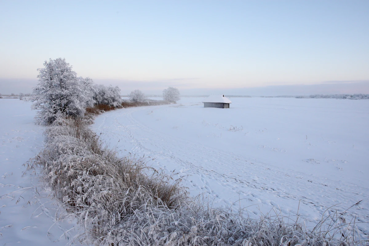 Snow-covered field with frosty grasses alongside a frozen river, a small building visible in the distance under a clear sky.