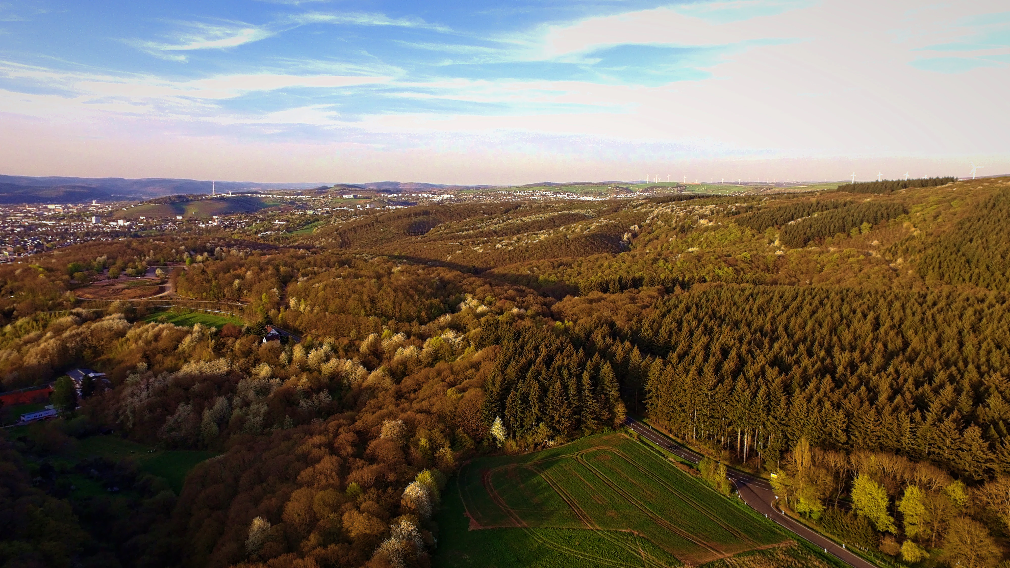 An elevated landscape view of a vast forest area with mixed deciduous and coniferous trees, showing open fields and a distant town horizon under a clear sky.