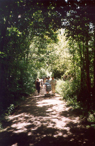 Un grupo de personas camina por un sendero de tierra a través de un bosque frondoso y salpicado de sol en el área natural de Maudacher Bruch.
