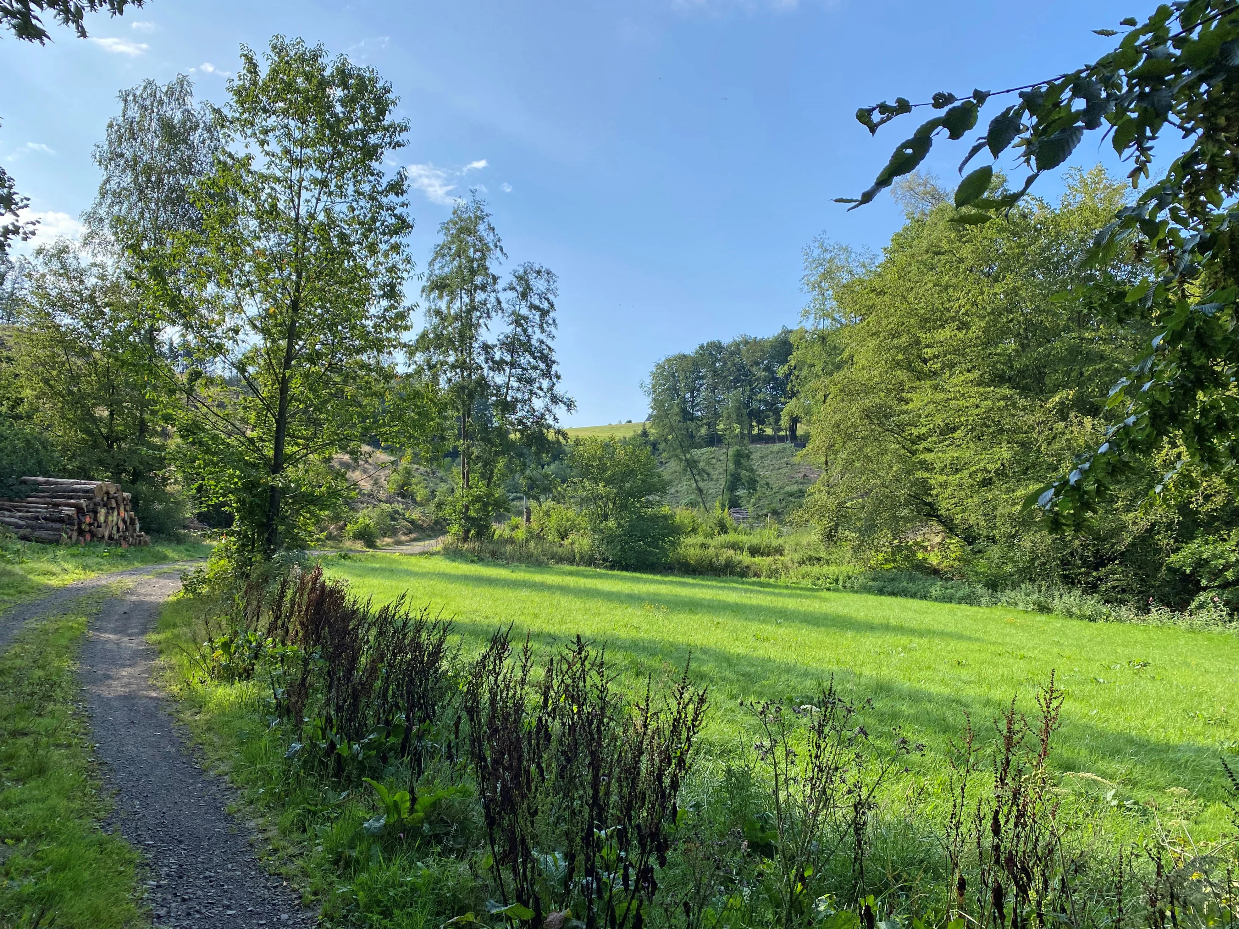 A dirt path leads past a stack of logs into a lush green meadow, surrounded by deciduous trees and hills under a blue sky.