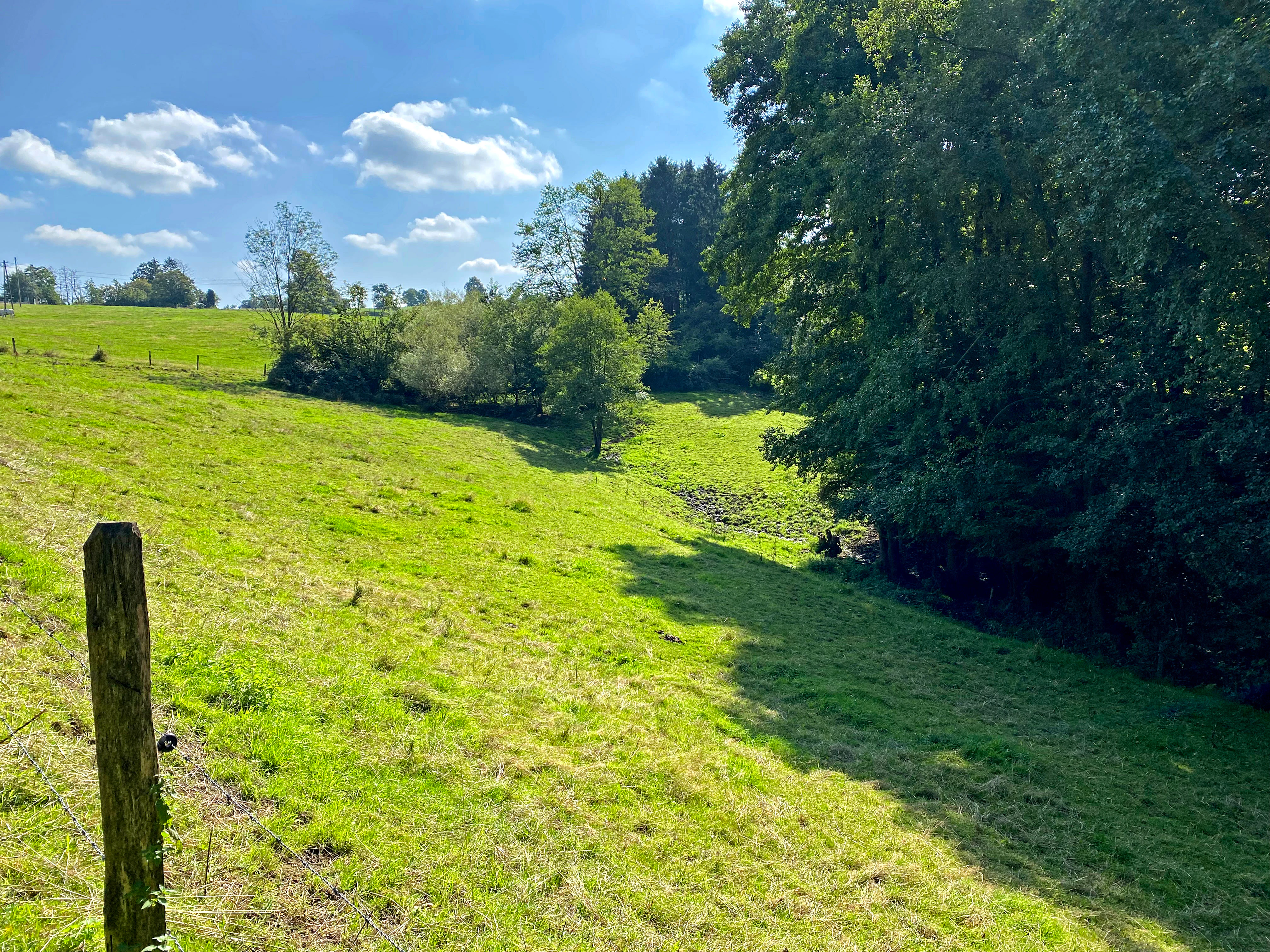 A green, sloped meadow in the foreground with a wooden fence post on the left, leading toward a dense line of trees on the right under a blue sky with white clouds.
