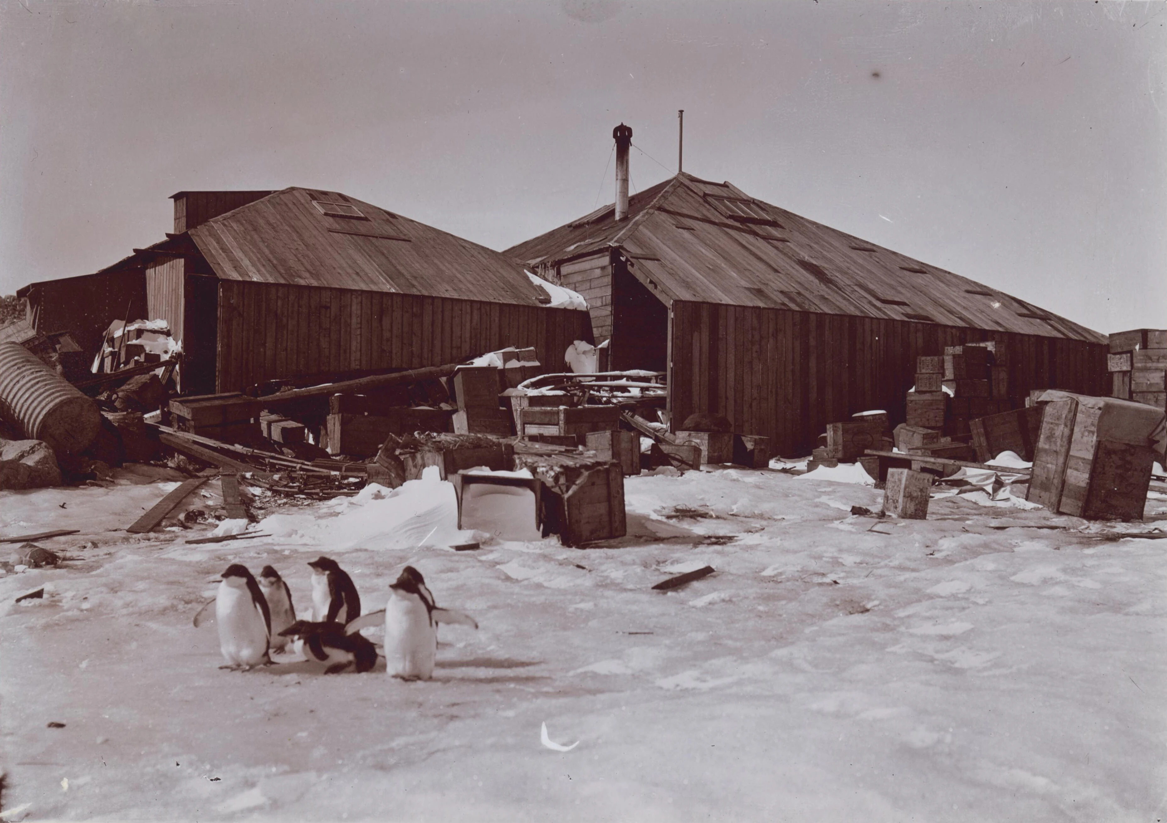 Historical black and white photograph of wooden, corrugated iron-roofed huts in a snowy Antarctic environment, with a small group of penguins standing in the foreground.