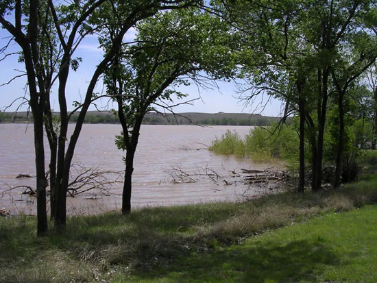 A view from the grassy shoreline looking out over a calm, muddy-toned lake surrounded by trees and distant rolling plains.