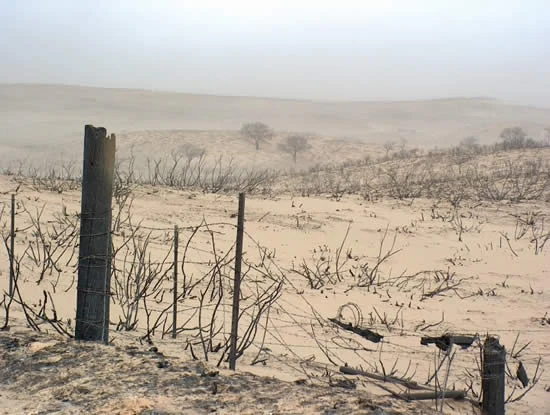 A wide view of a sandy, barren landscape with charred, leafless trees and shrubs scattered across rolling hills, with a section of barbed wire fence in the foreground.