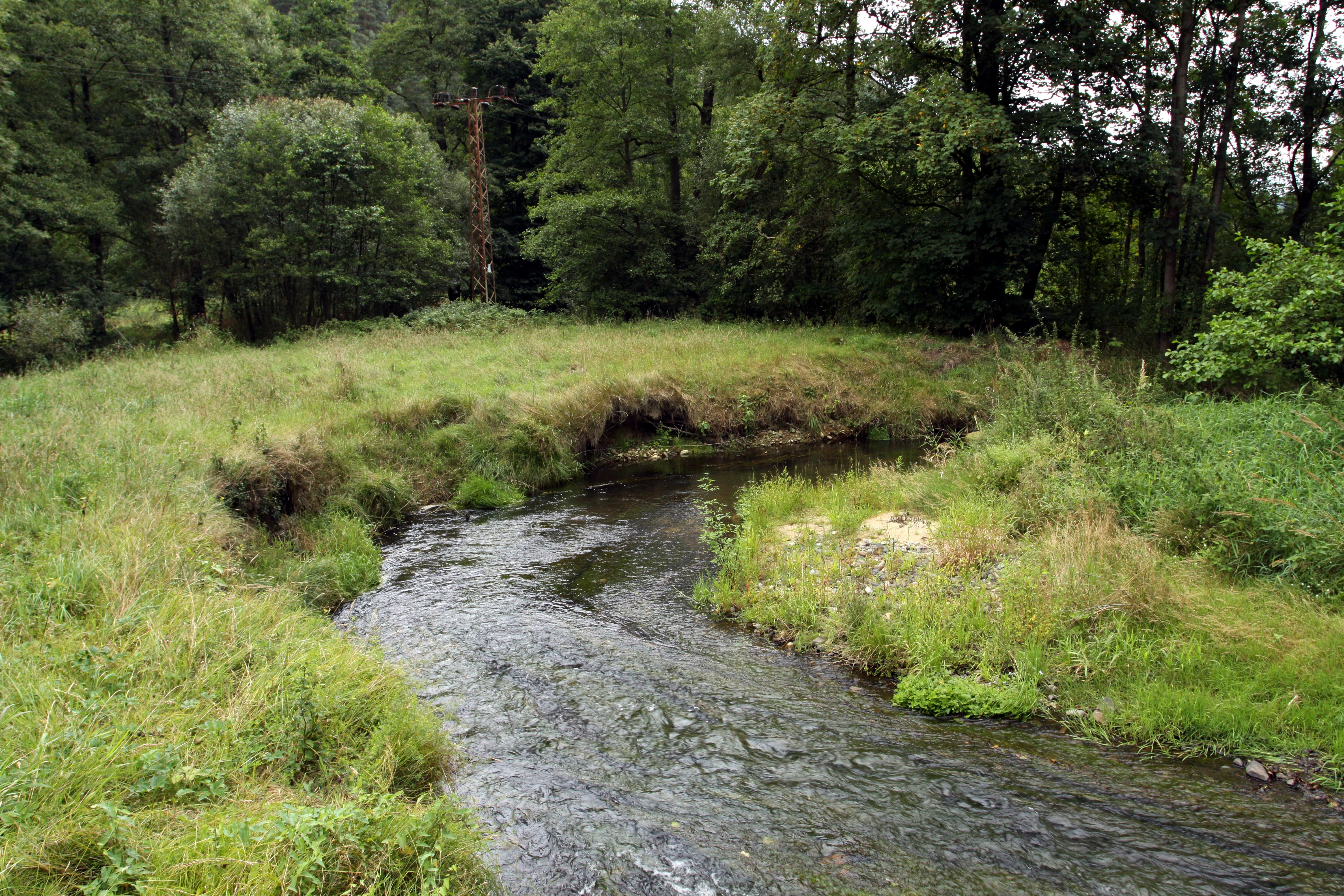 Natural monument Meandry Chribske Kamenice