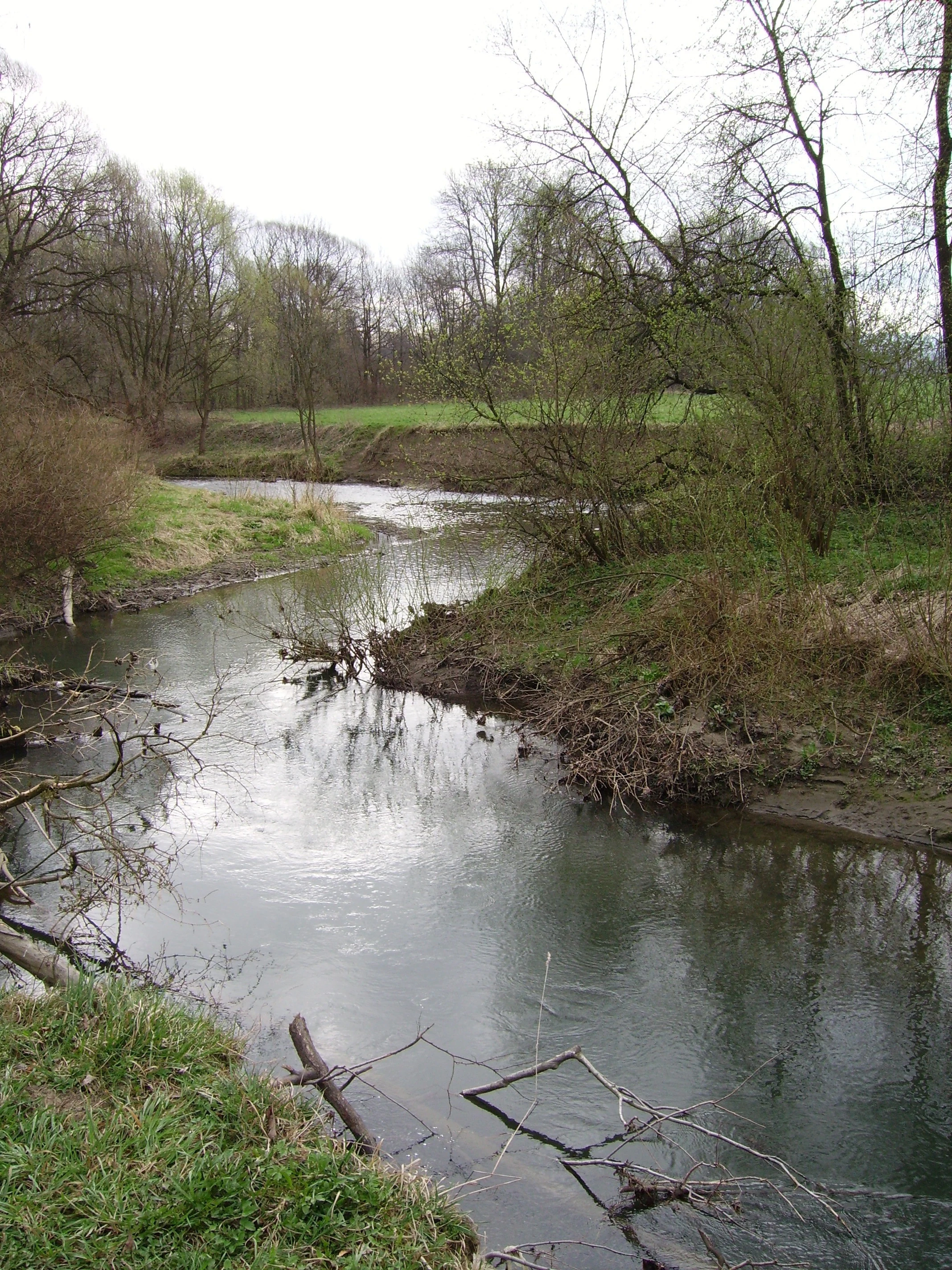 A calm, winding river flows through a grassy, wooded landscape under an overcast sky.