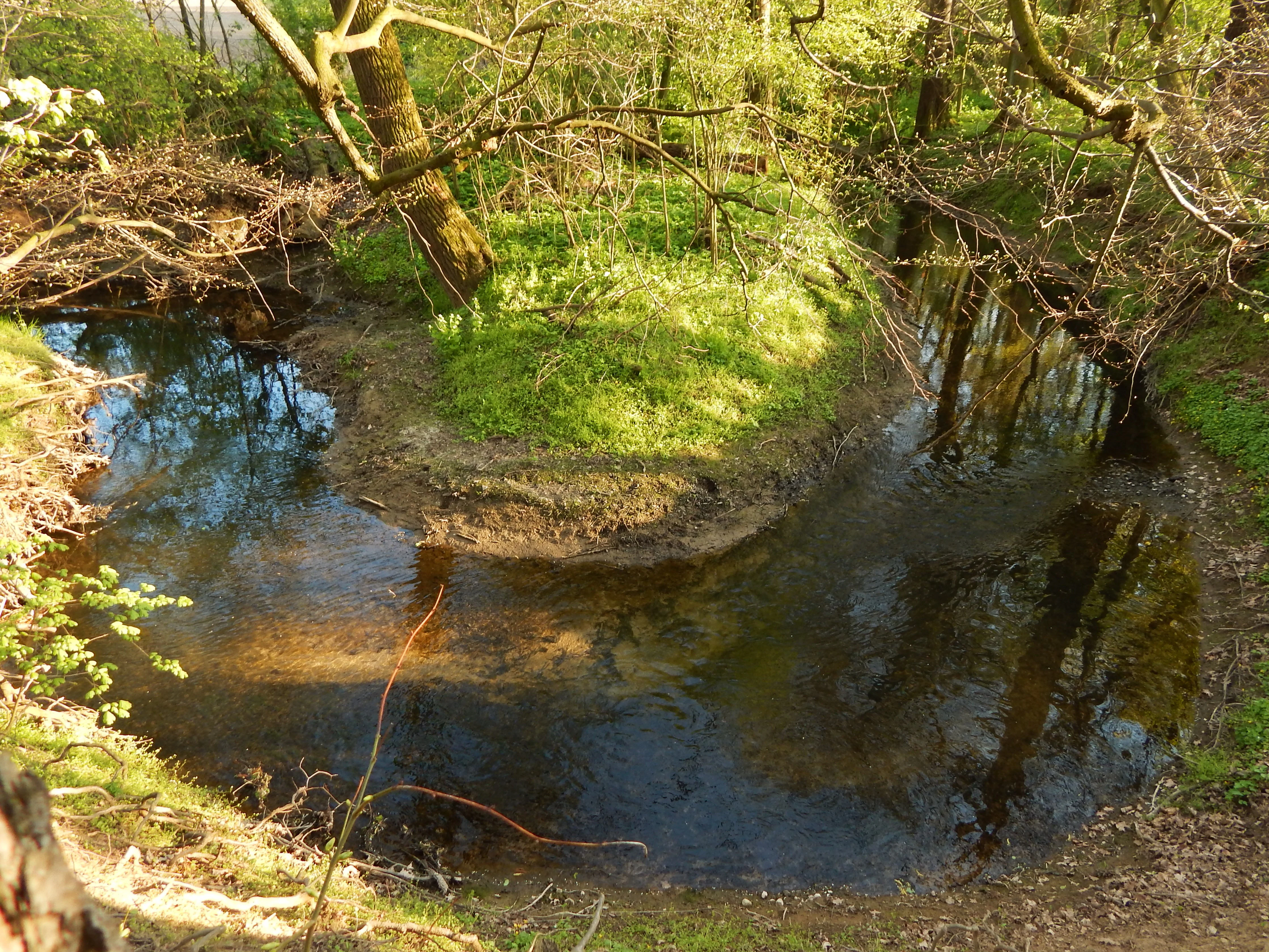 A small, winding stream curves tightly around a grassy bank in a forested area, with dappled sunlight reflecting on the water surface.