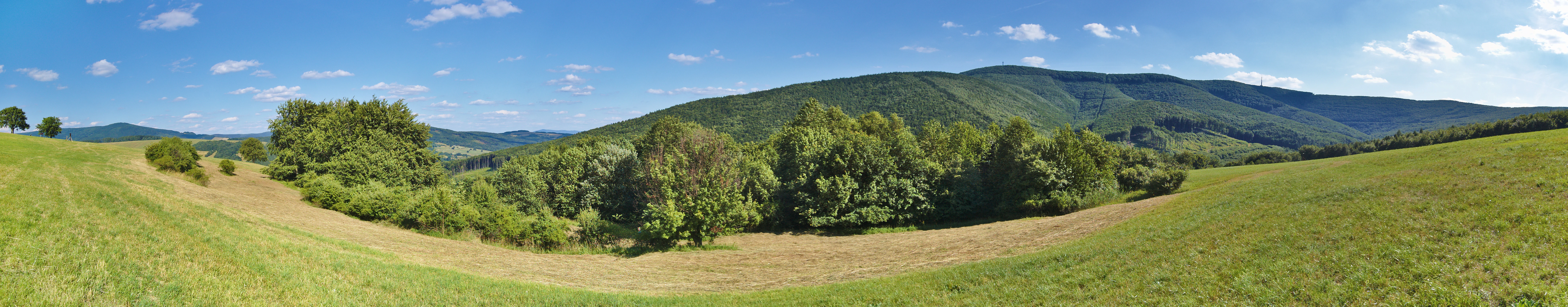 A wide, panoramic landscape view of rolling green meadows with clusters of trees and a forested hillside in the background under a blue sky with light clouds.