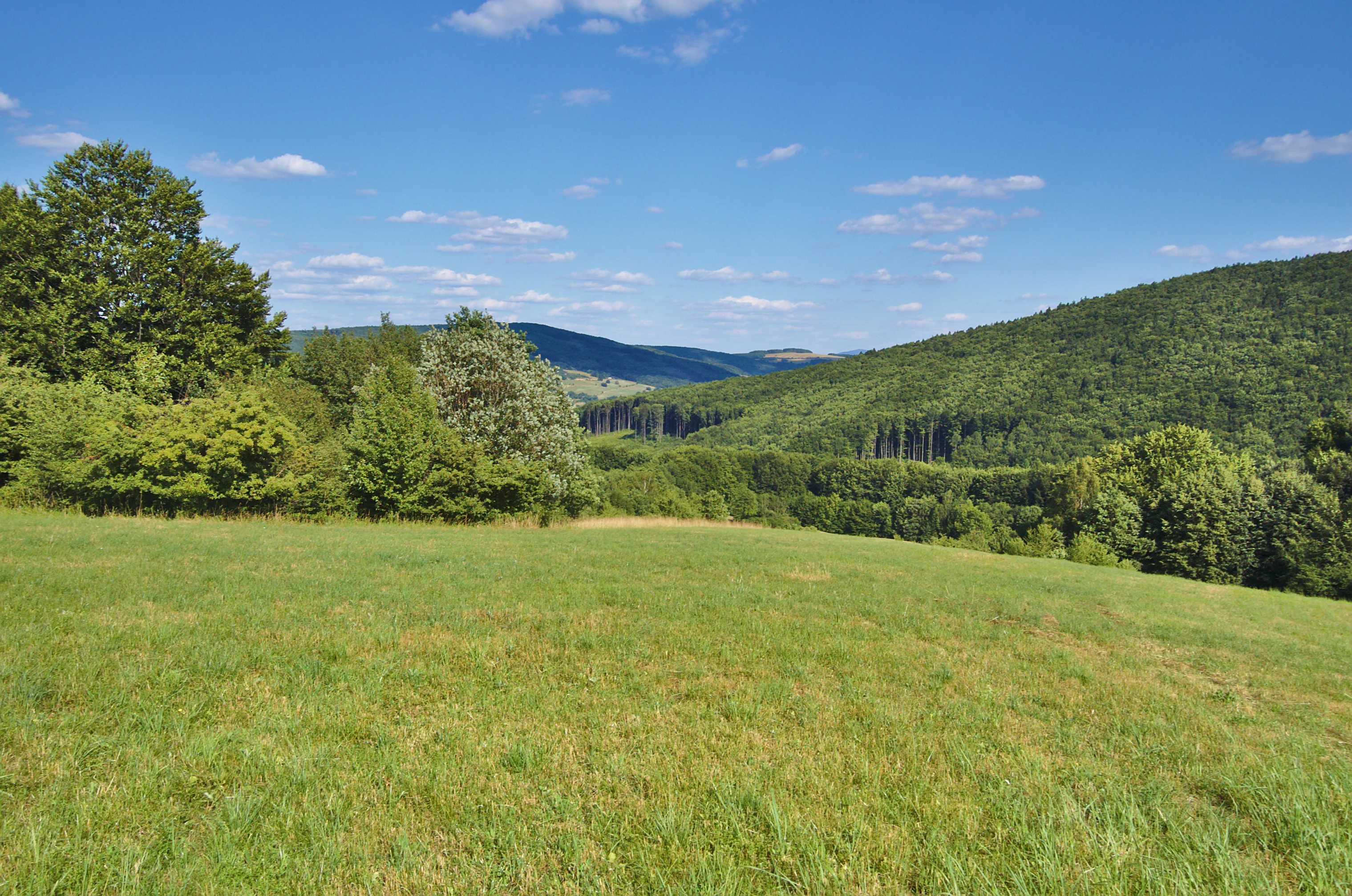 A wide, sunny landscape shot showing a green grassy meadow in the foreground leading into a series of rolling, forested hills under a blue sky with light clouds.