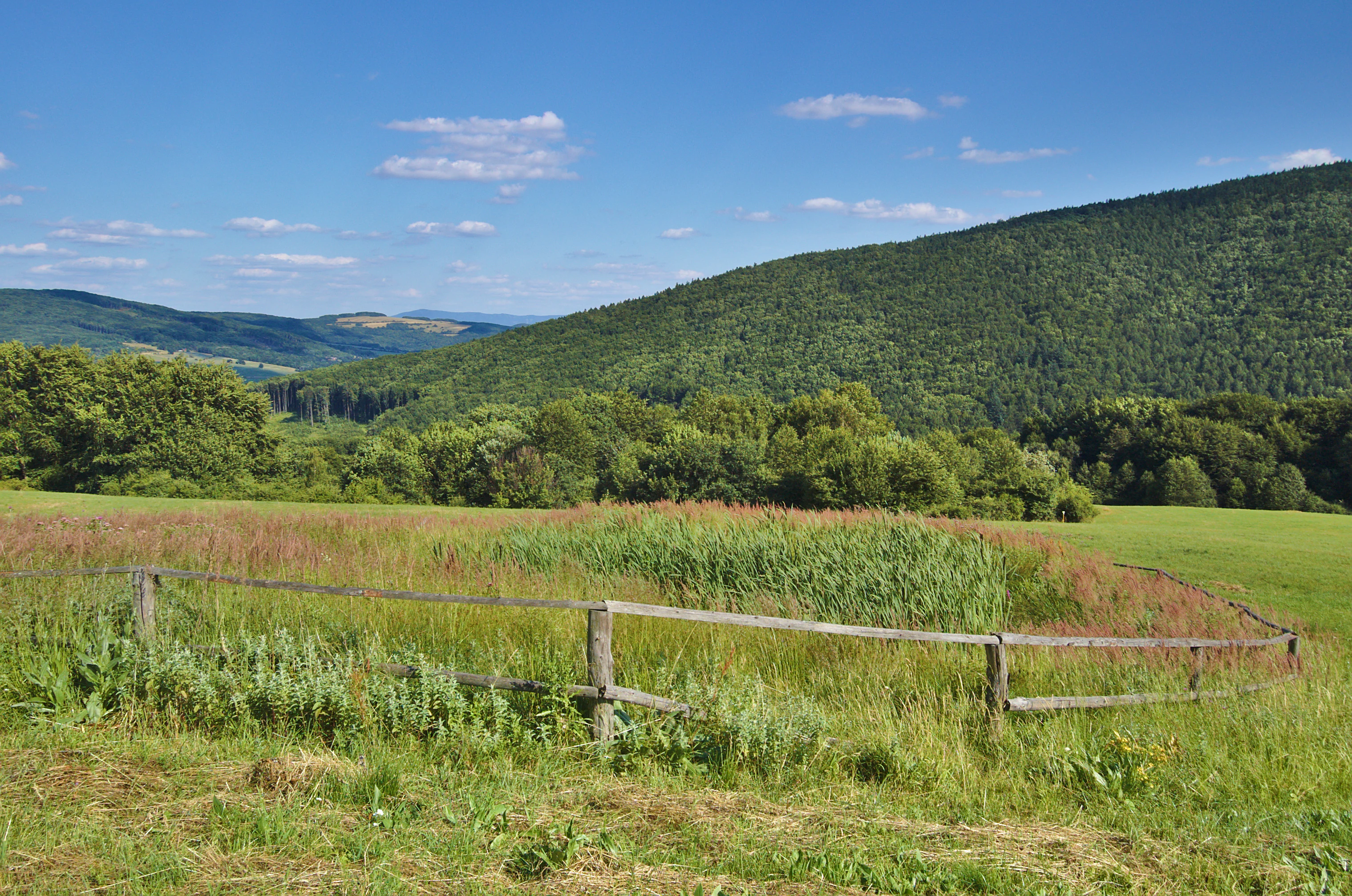 A green meadow with tall grasses and a wooden rail fence in the foreground, backed by lush forested hills under a blue sky.