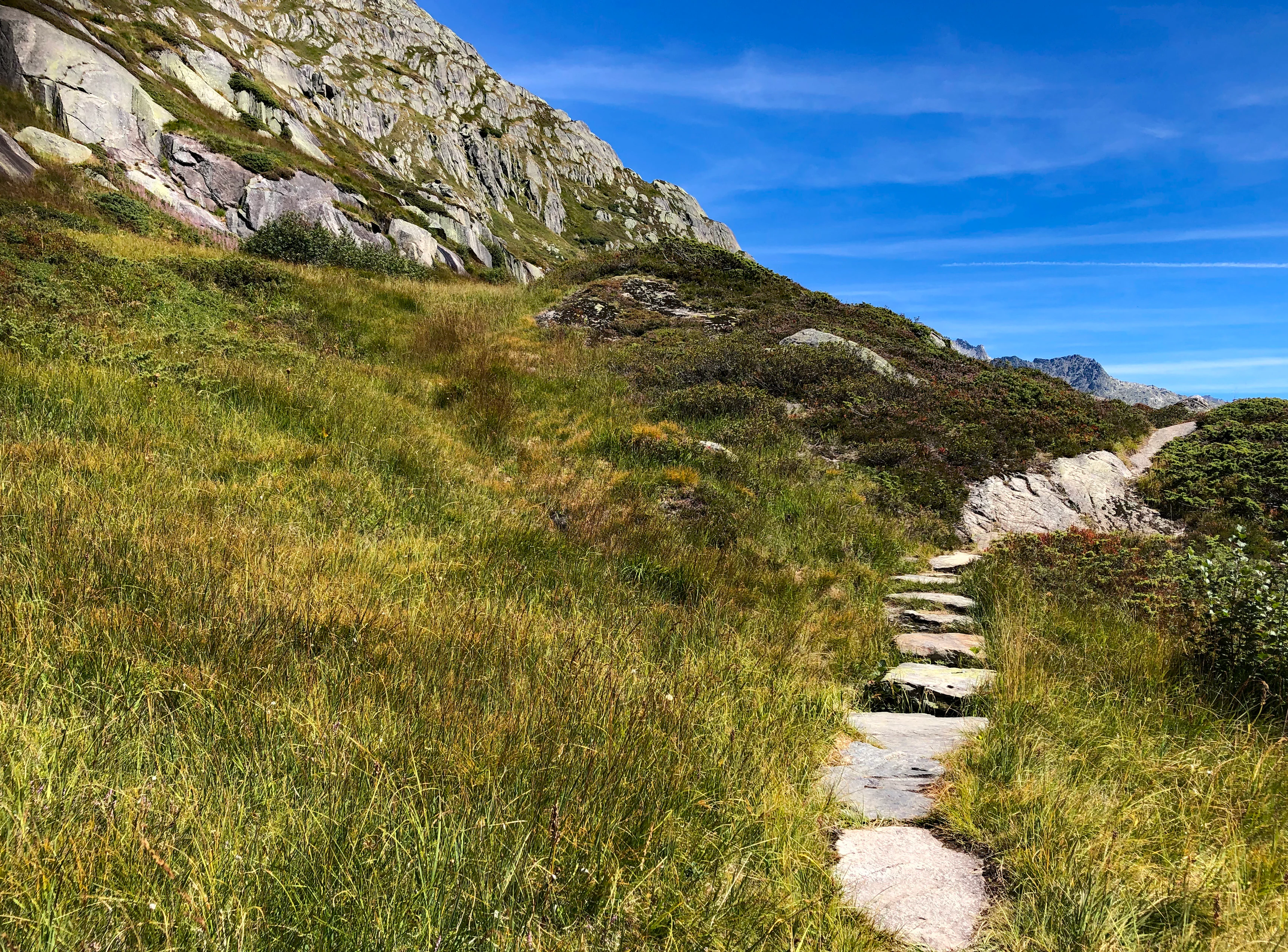 A narrow hiking trail composed of flat stone slabs winding through a lush green alpine meadow, set against a rocky mountain slope and a clear blue sky.