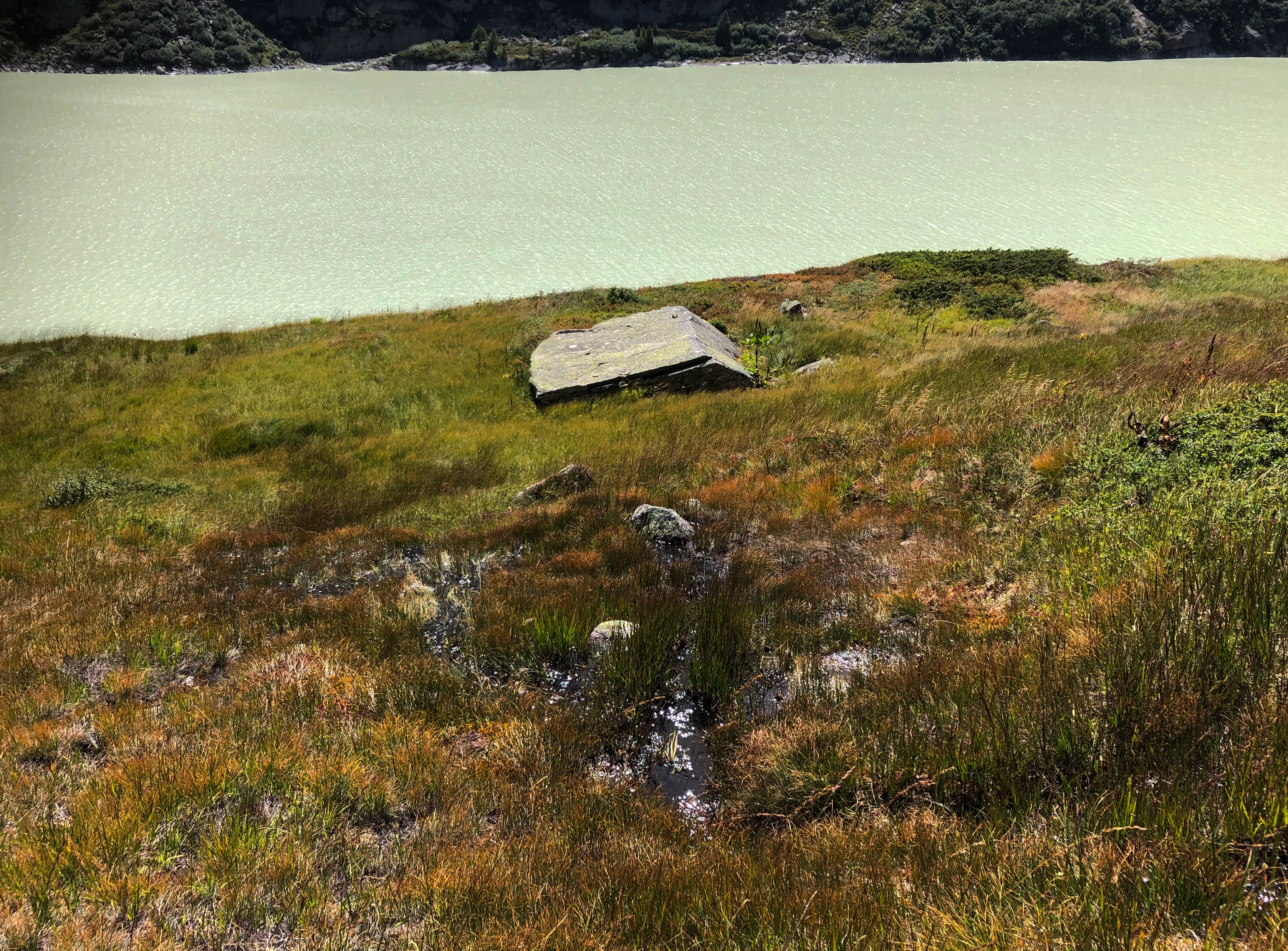 A sloped alpine moorland with patches of grasses, sedges, and low-lying shrubs, containing a single large flat stone, situated above a light-colored reservoir lake.