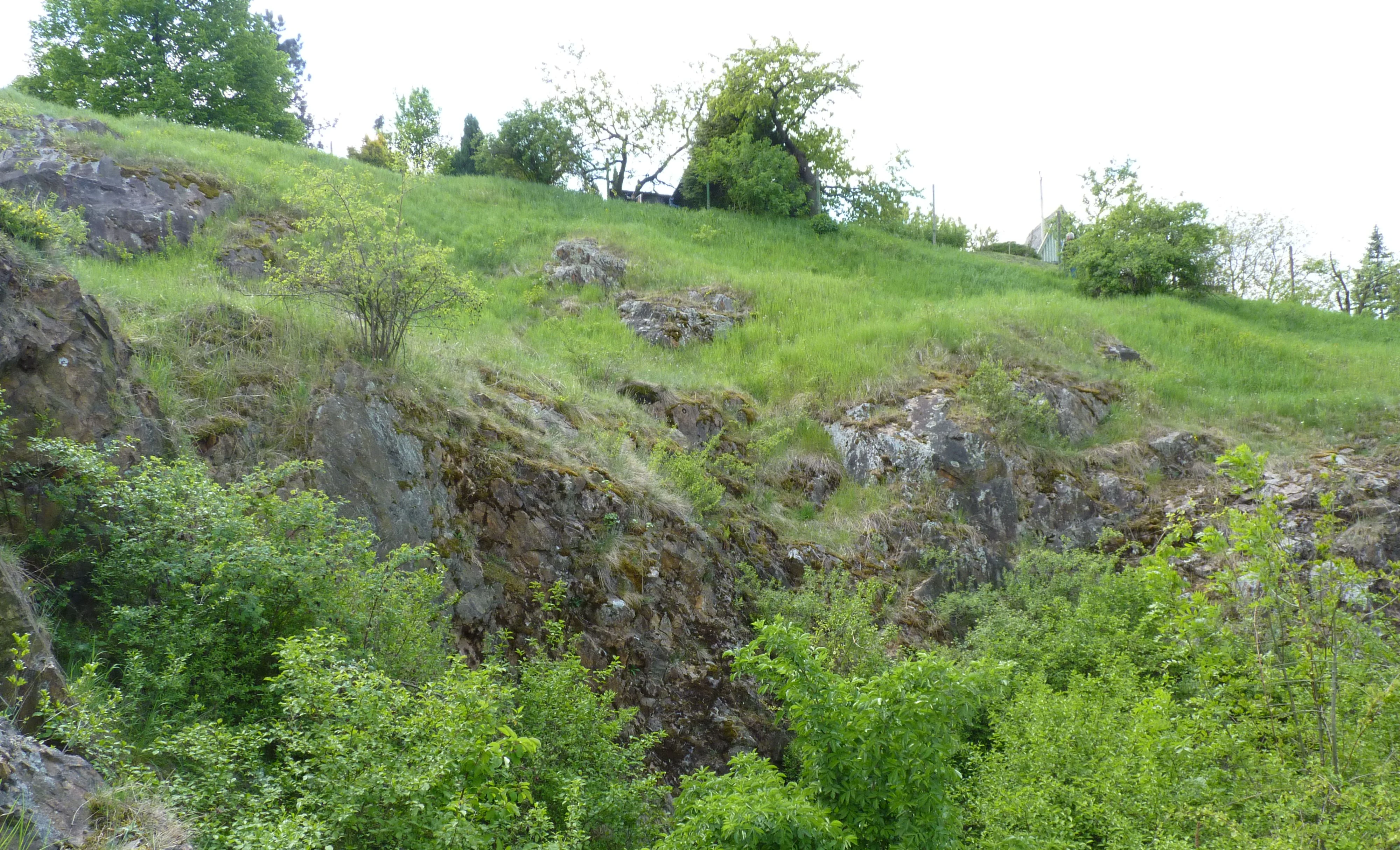 A green hillside featuring exposed rocky outcrops, scattered shrubs, and grass in a natural setting.