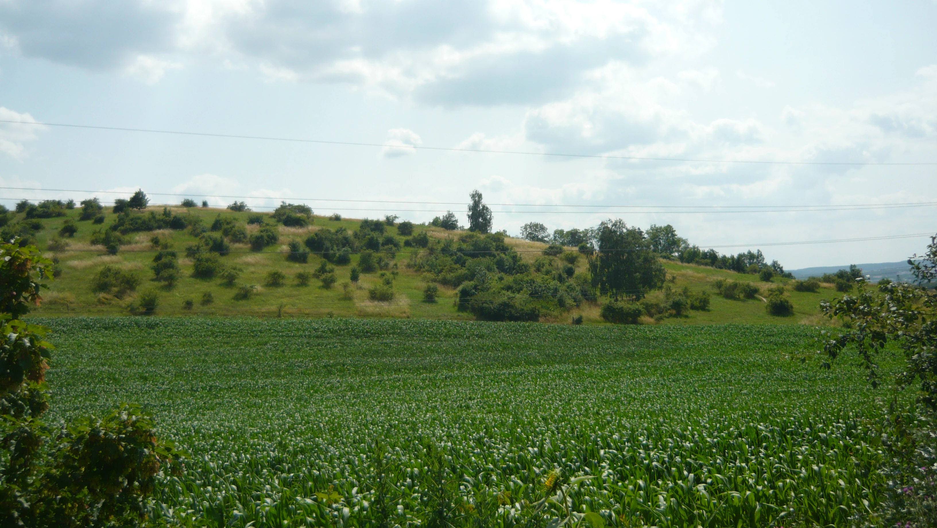 A green field in the foreground leads to a gently sloping hill covered with grass and scattered shrubs under a cloudy sky.