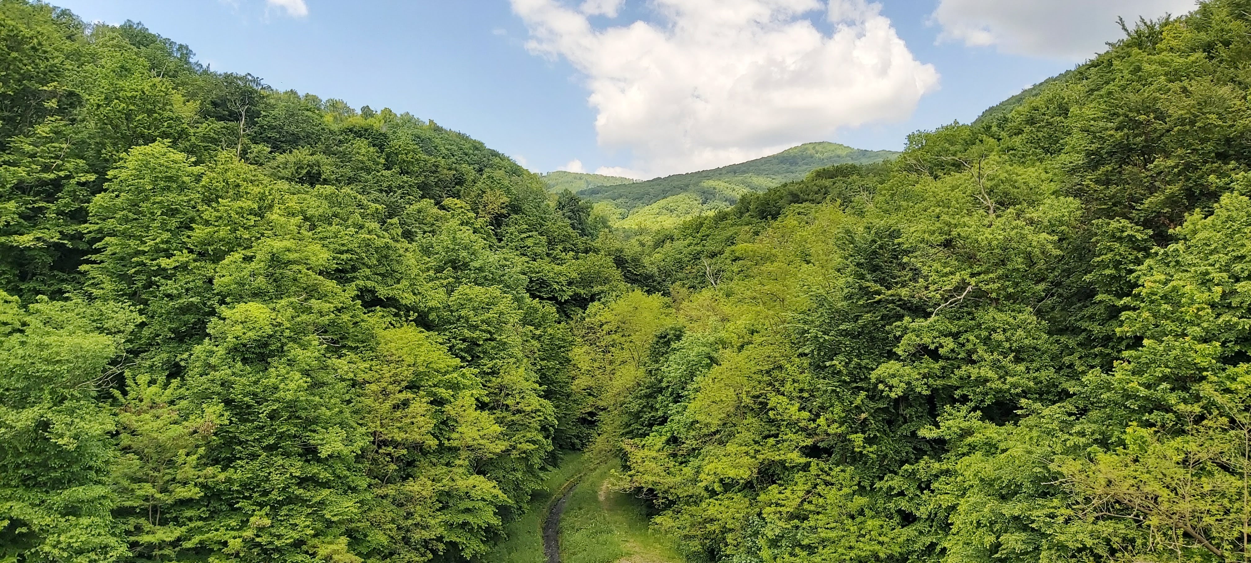 Wide landscape view of a lush green forested valley with mountains in the background under a partly cloudy sky
