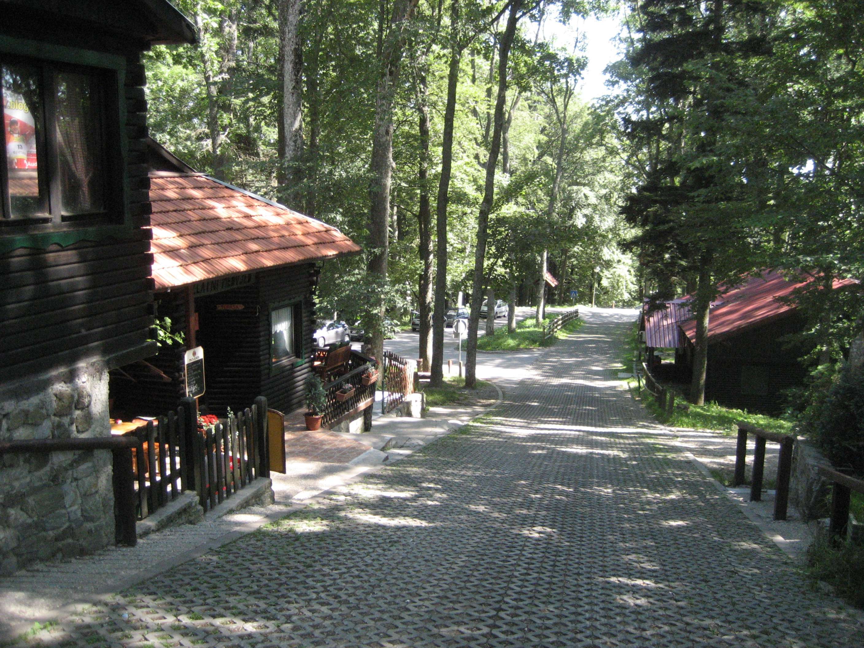 Wooden buildings with red tile roofs line a paved stone path through a forested area