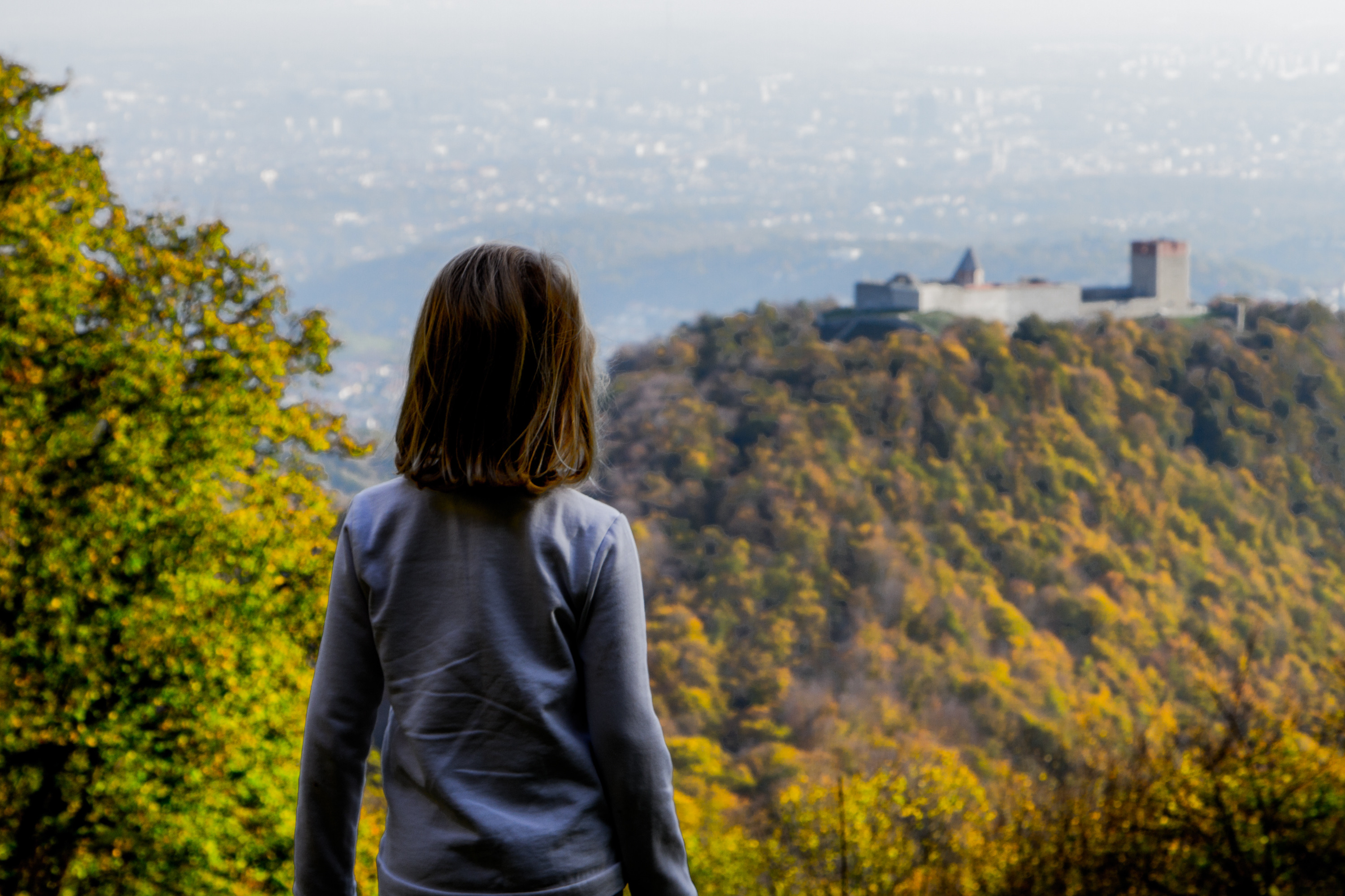 A person with short brown hair wearing a gray jacket stands with their back to the camera, overlooking a forested mountain landscape with a historic fortress on the ridge and a distant cityscape.