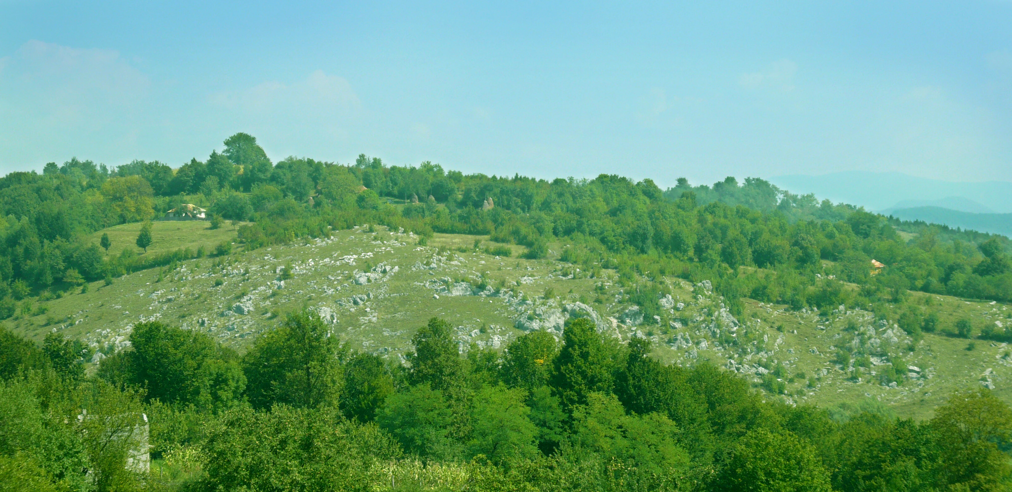 Landscape view of the Mehedinți Plateau Geopark featuring karst pavement, rocky outcrops, and dense greenery under clear blue sky