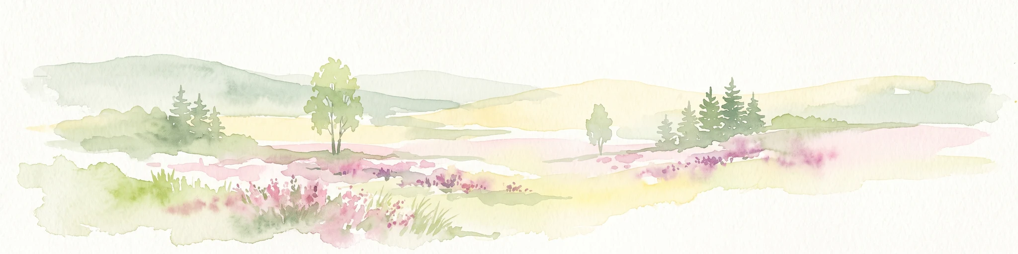 Watercolor painting of a heathland landscape with rolling hills, purple heather, and scattered pine trees.