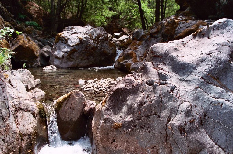 A small stream flowing over and around large, rugged gray rocks in a forested area.