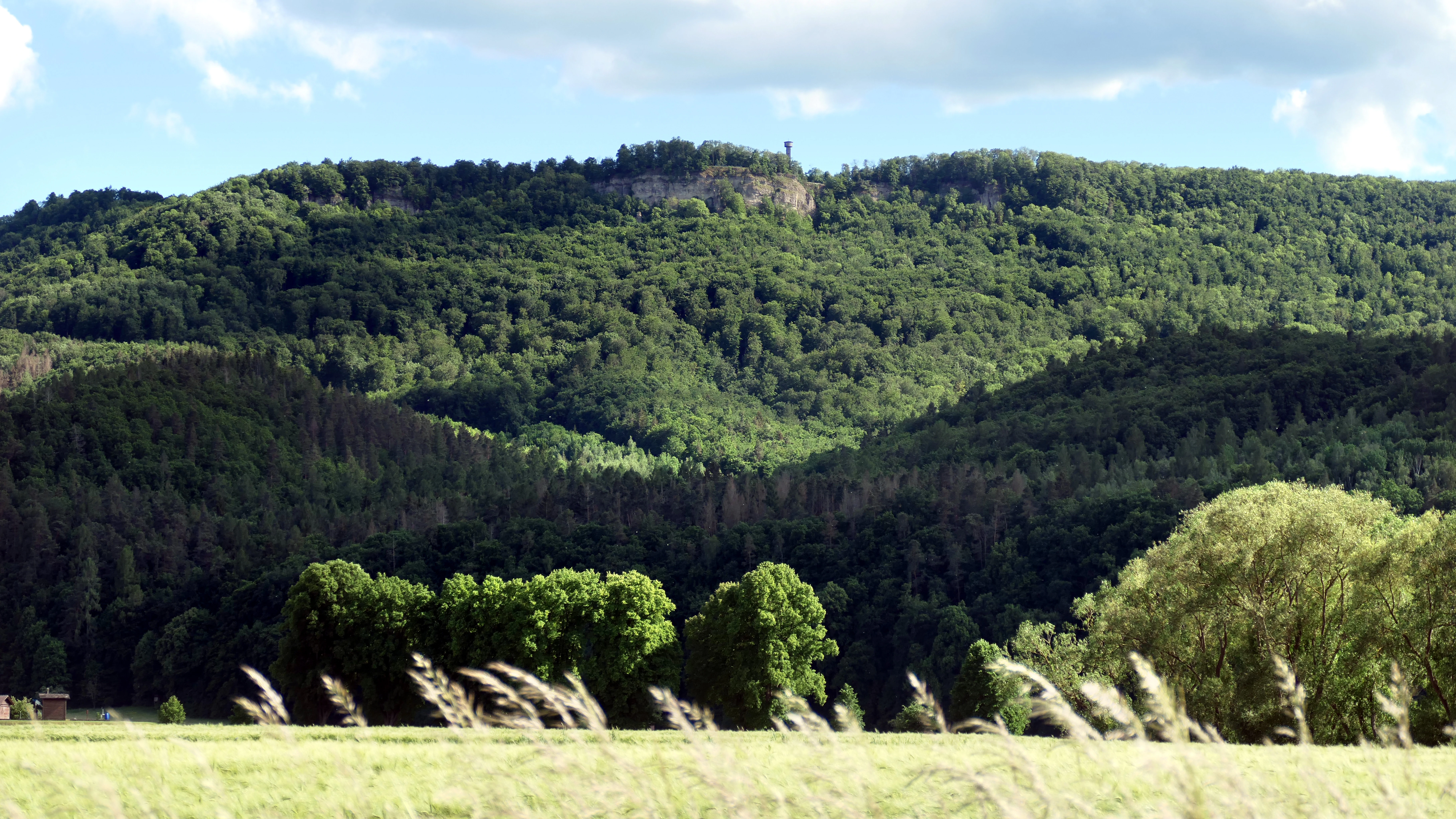 Una vista panorámica de una montaña verde y boscosa con escarpados acantilados de piedra caliza cerca de la cima, donde se alza una pequeña torre de observación. Una pradera herbosa con plantas azotadas por el viento ocupa el primer plano.
