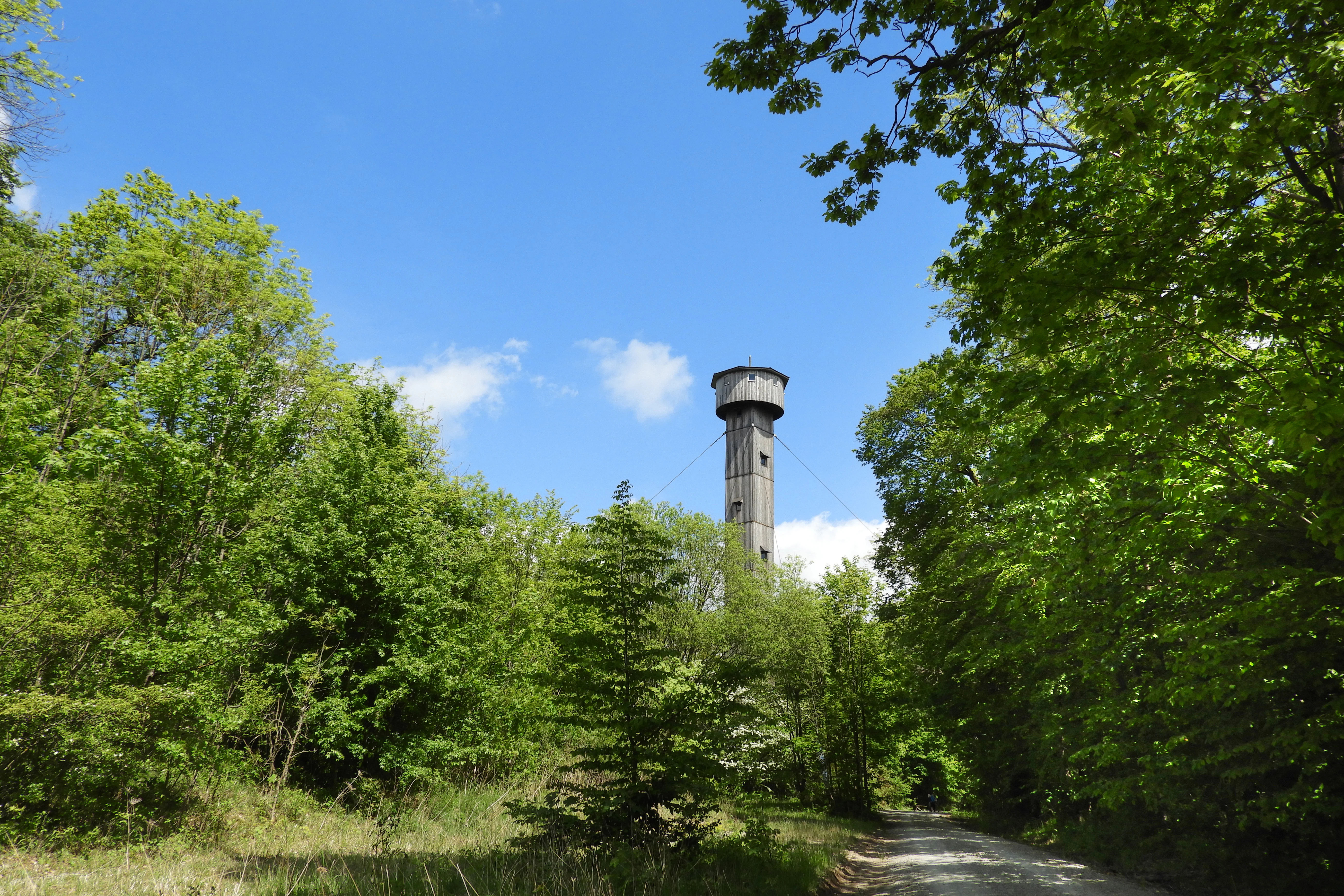 Una torre de observación alta y esbelta rodeada de densos árboles caducifolios verdes bajo un cielo azul despejado en Turingia.