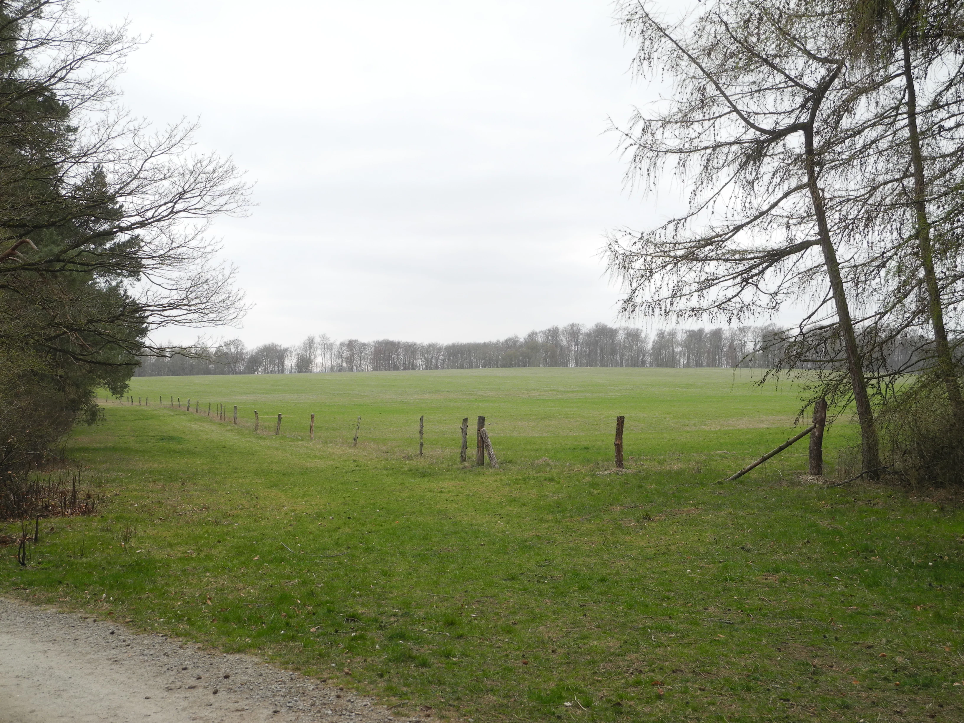 A green open field surrounded by trees under an overcast sky, with a simple wooden fence running along the edge.