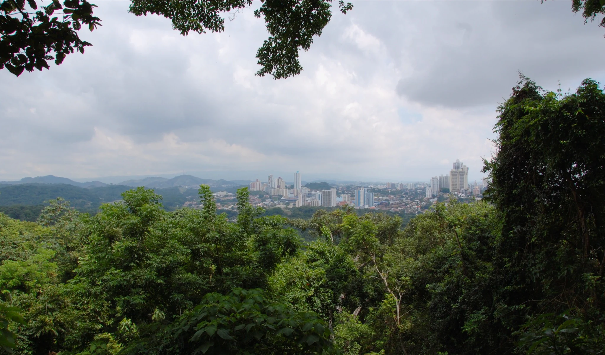 Una vista de gran angular desde un punto elevado que contempla un denso dosel de bosque verde hacia el perfil urbano de la ciudad de Panamá bajo un cielo nublado.