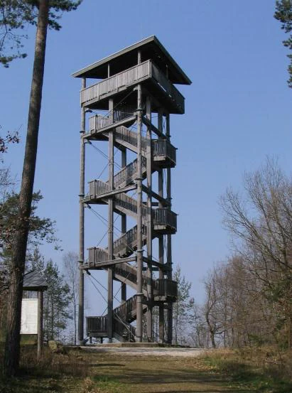 A tall wooden observation tower with a zigzagging staircase stands in a clearing within a forest under a clear blue sky.