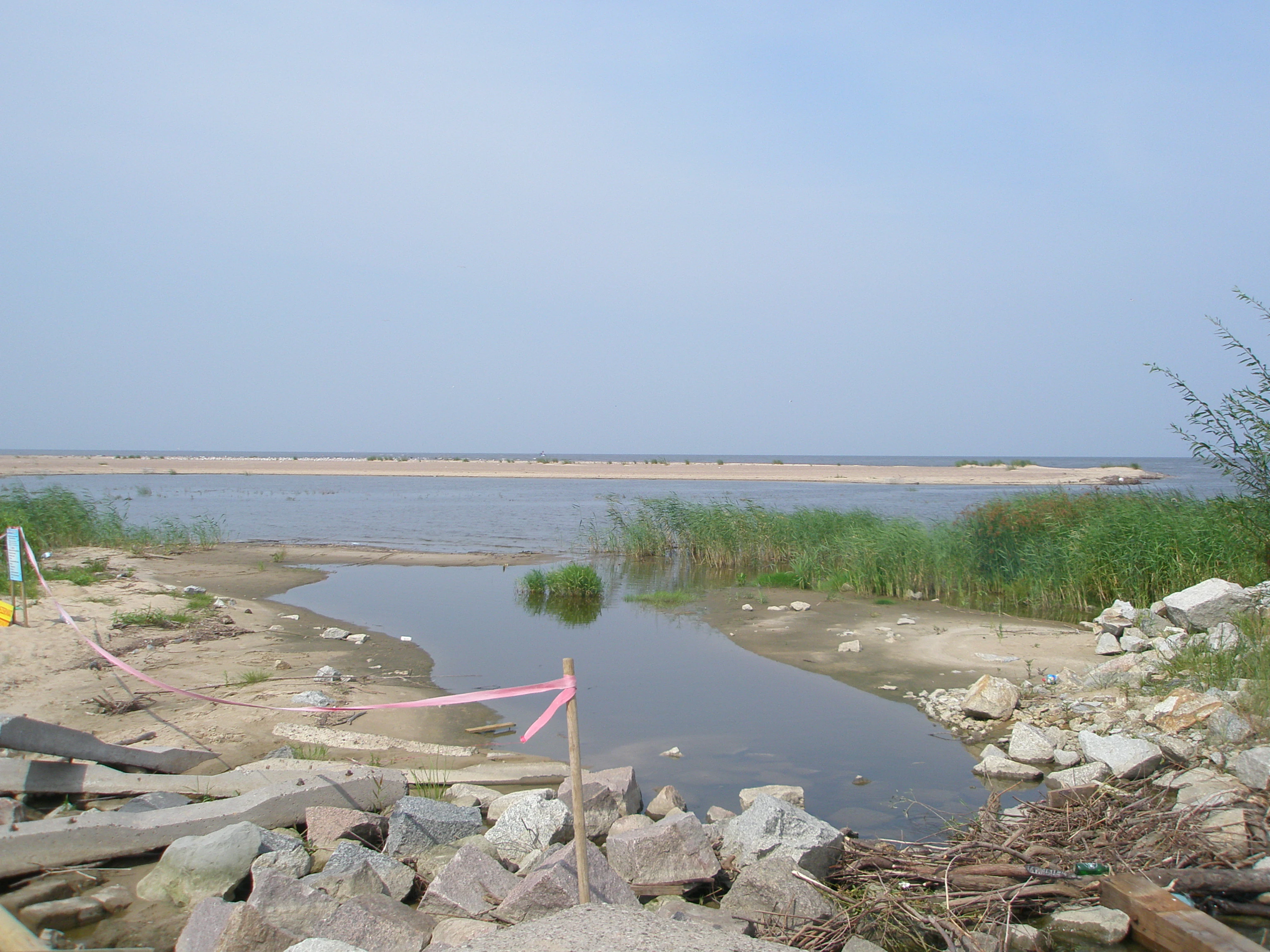 A wide view of a sandy, marshy coastal area with a small stream flowing toward a larger body of water, with pink surveyor tape marking an area.
