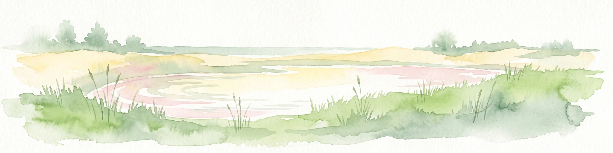 A soft watercolor painting of a marshy coastal landscape with tall grasses, calm water, and distant dunes under a bright, clear sky.