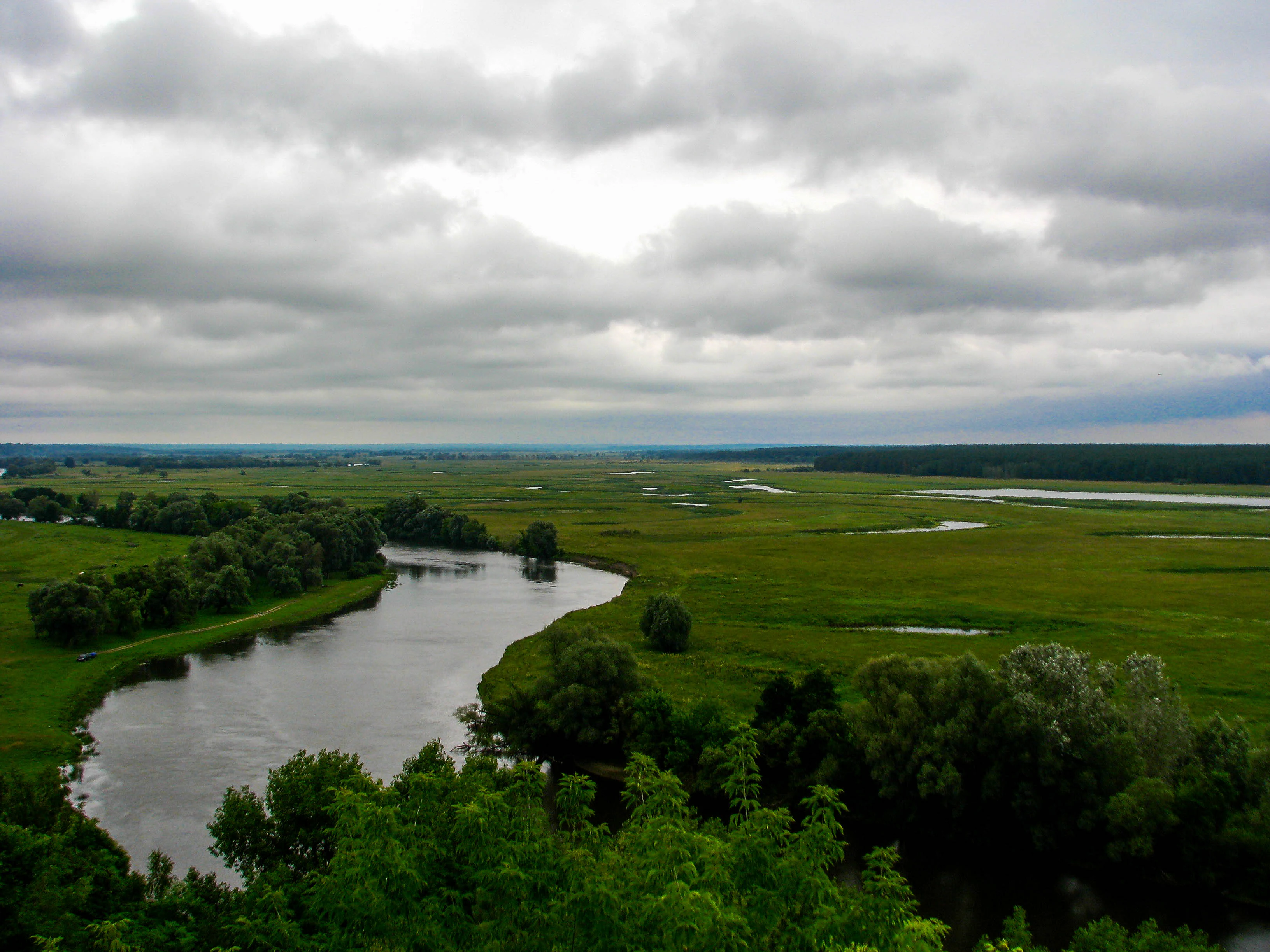 A wide river winding through a verdant floodplain landscape with dense trees along the banks and open grassy fields under a cloudy sky.