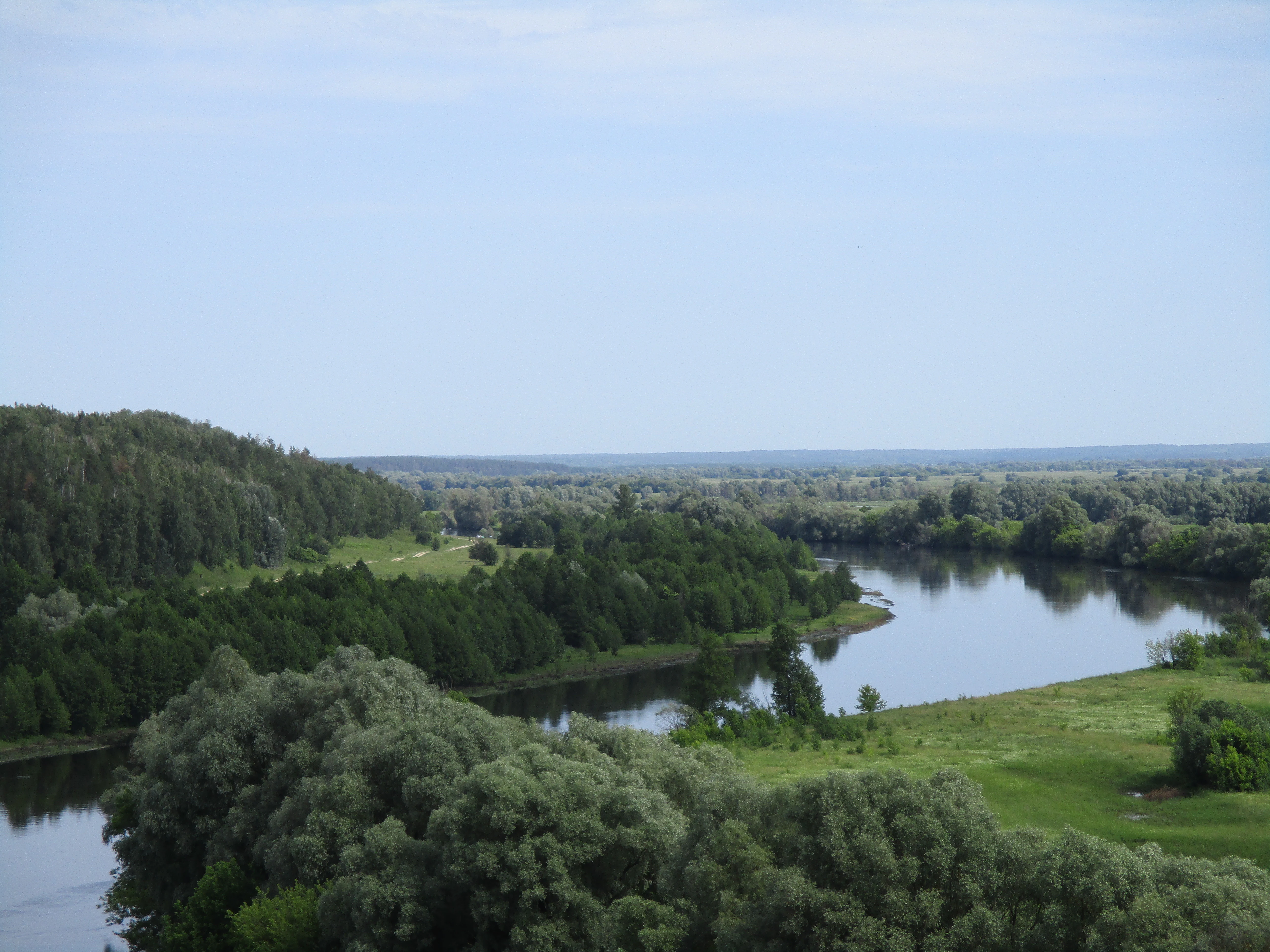 Panoramic landscape of the Desna River with dense green forests and open meadows under a clear sky