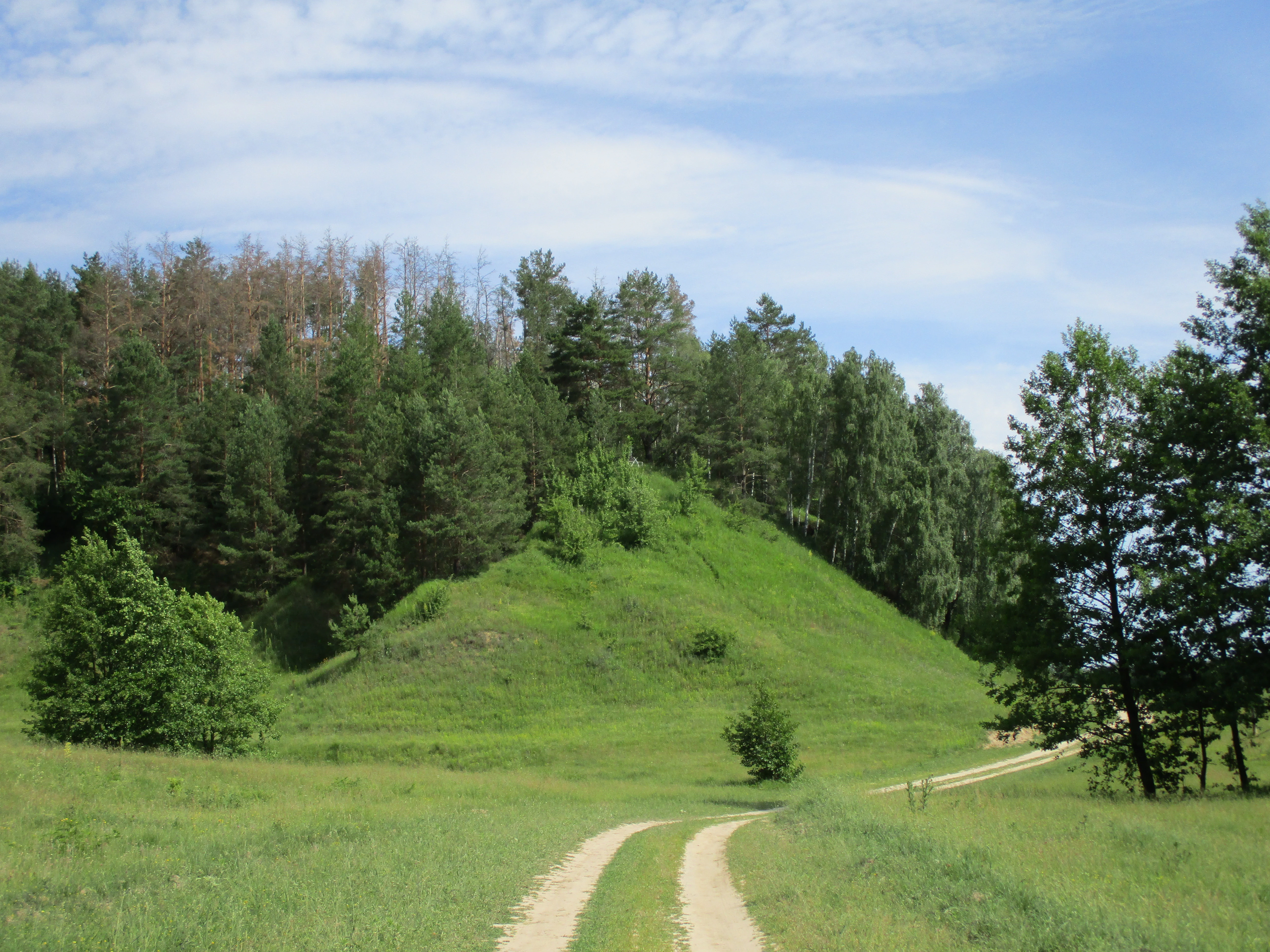 Dirt path through green fields with a grassy hill and forest in the background under a partly cloudy sky