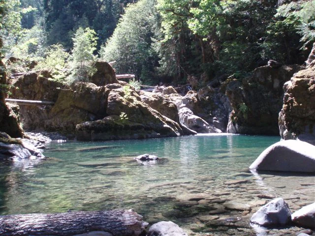 A calm, clear pool of water surrounded by mossy rocks and dense forest in the Middle Santiam Wilderness.