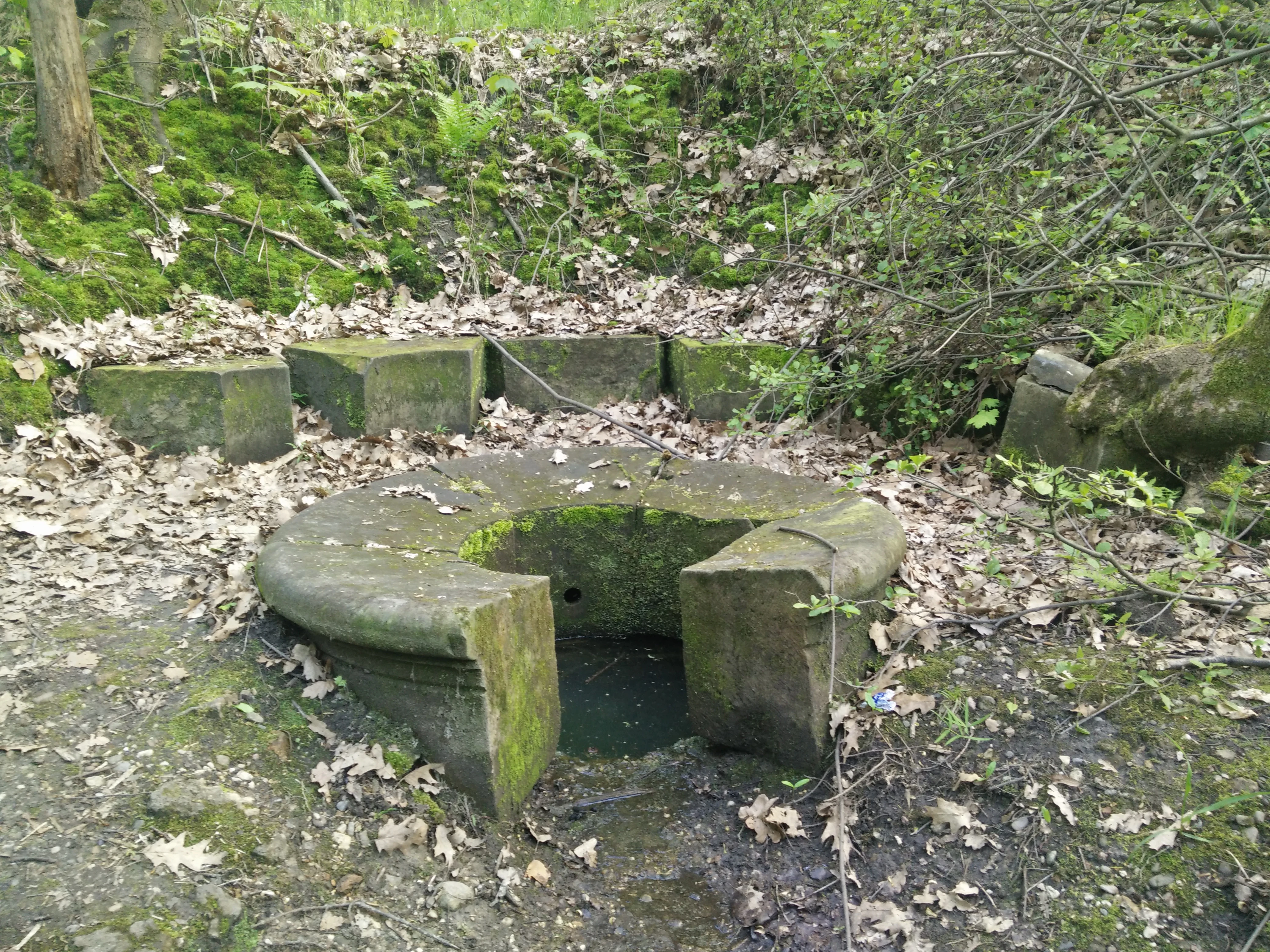 A weathered, circular stone structure built around a natural spring in a woodland setting, surrounded by fallen leaves and mossy ground.