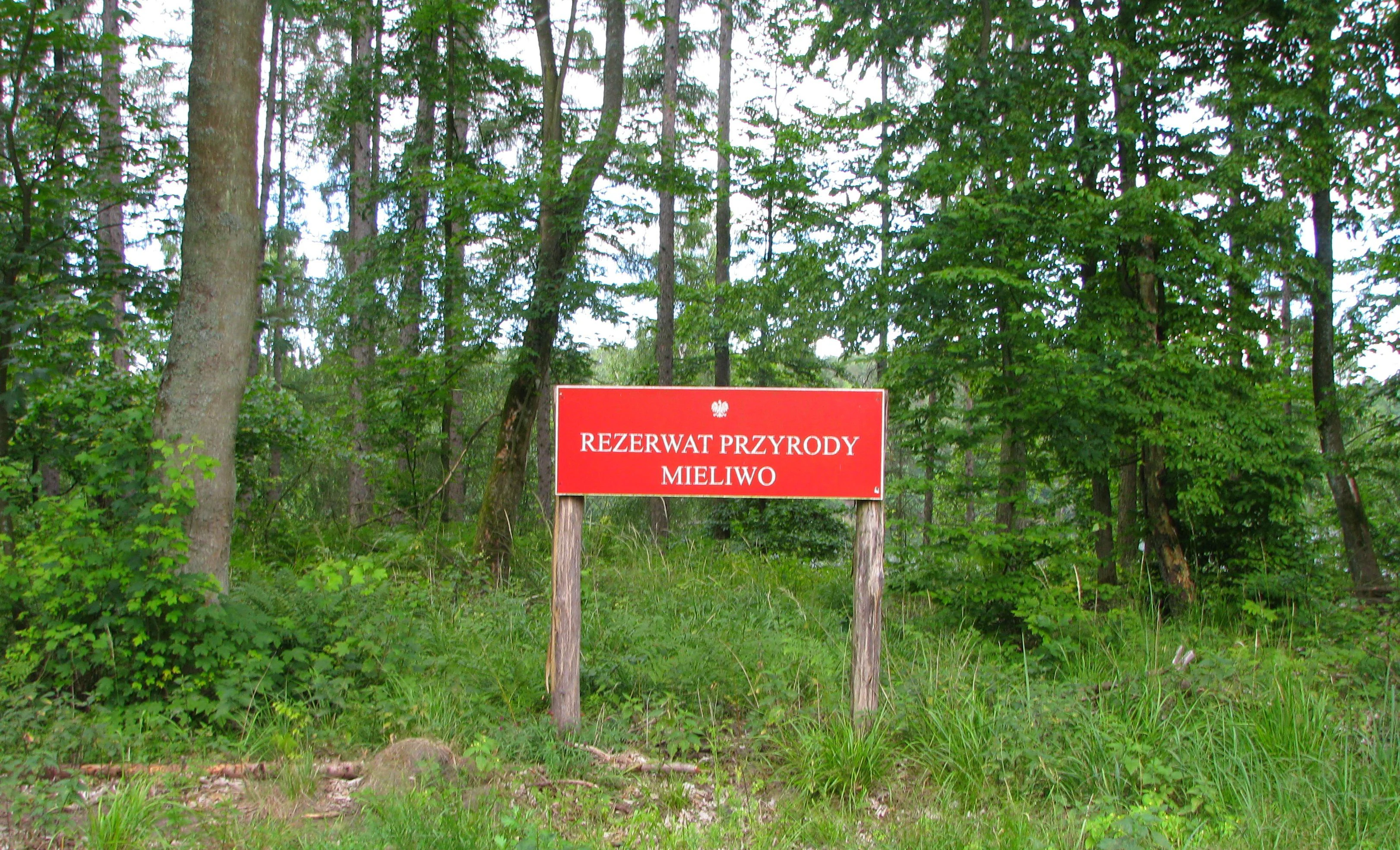 A rectangular red sign with white text reading REZERWAT PRZYRODY MIELIWO, mounted on two wooden posts in a wooded forest area.