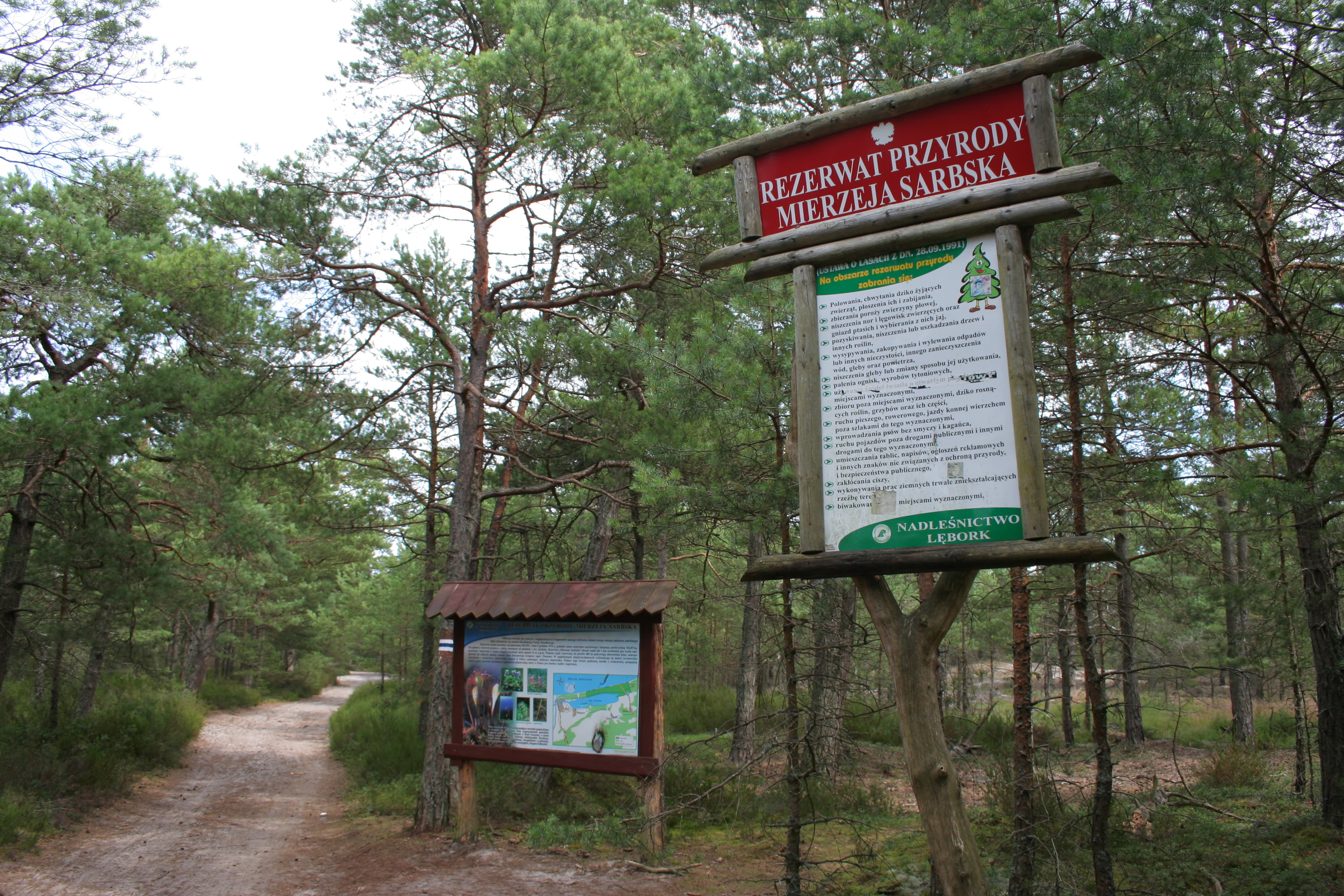 A wooden sign identifying Rezerwat Przyrody Mierzeja Sarbska stands on a dirt path entering a coastal forest.