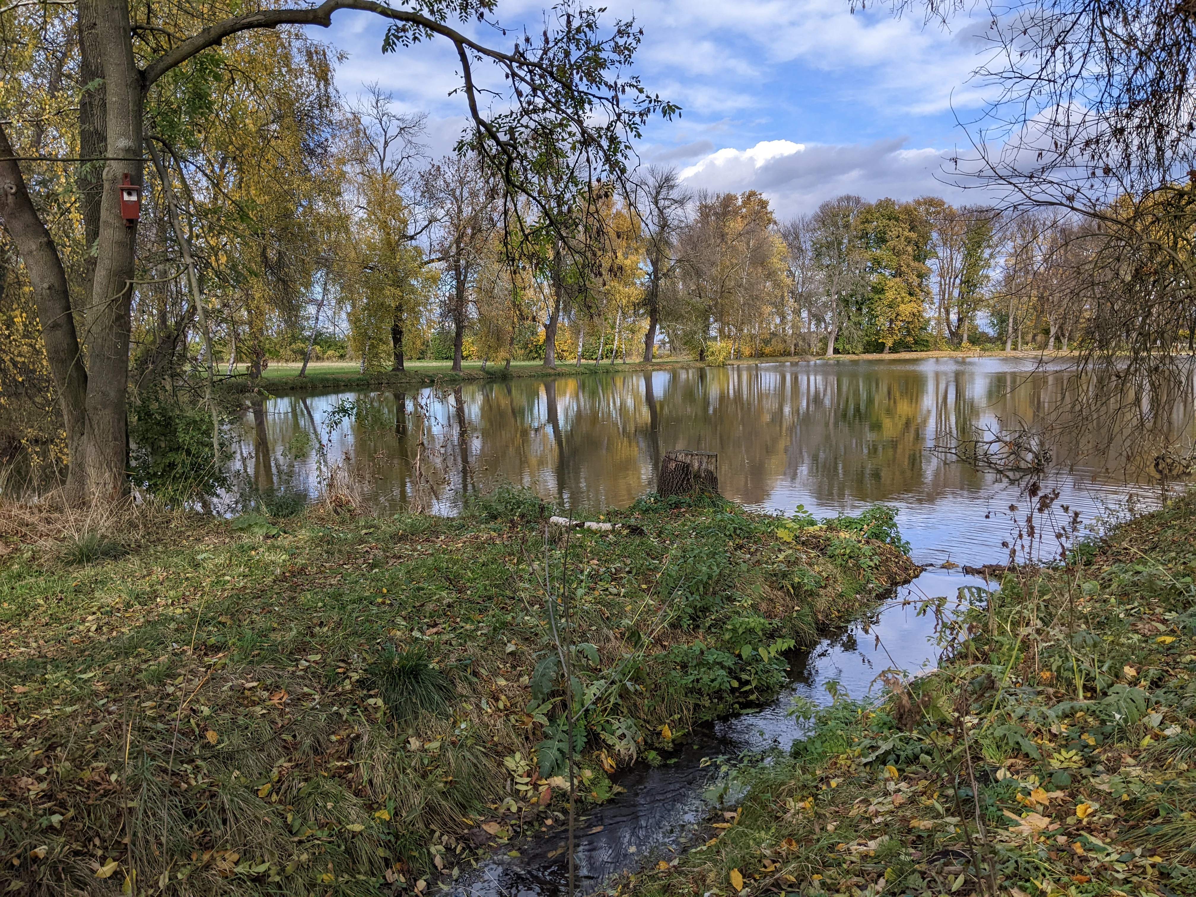 A small, calm pond surrounded by trees with yellow and green autumn leaves, with a stream flowing into the pond in the foreground.