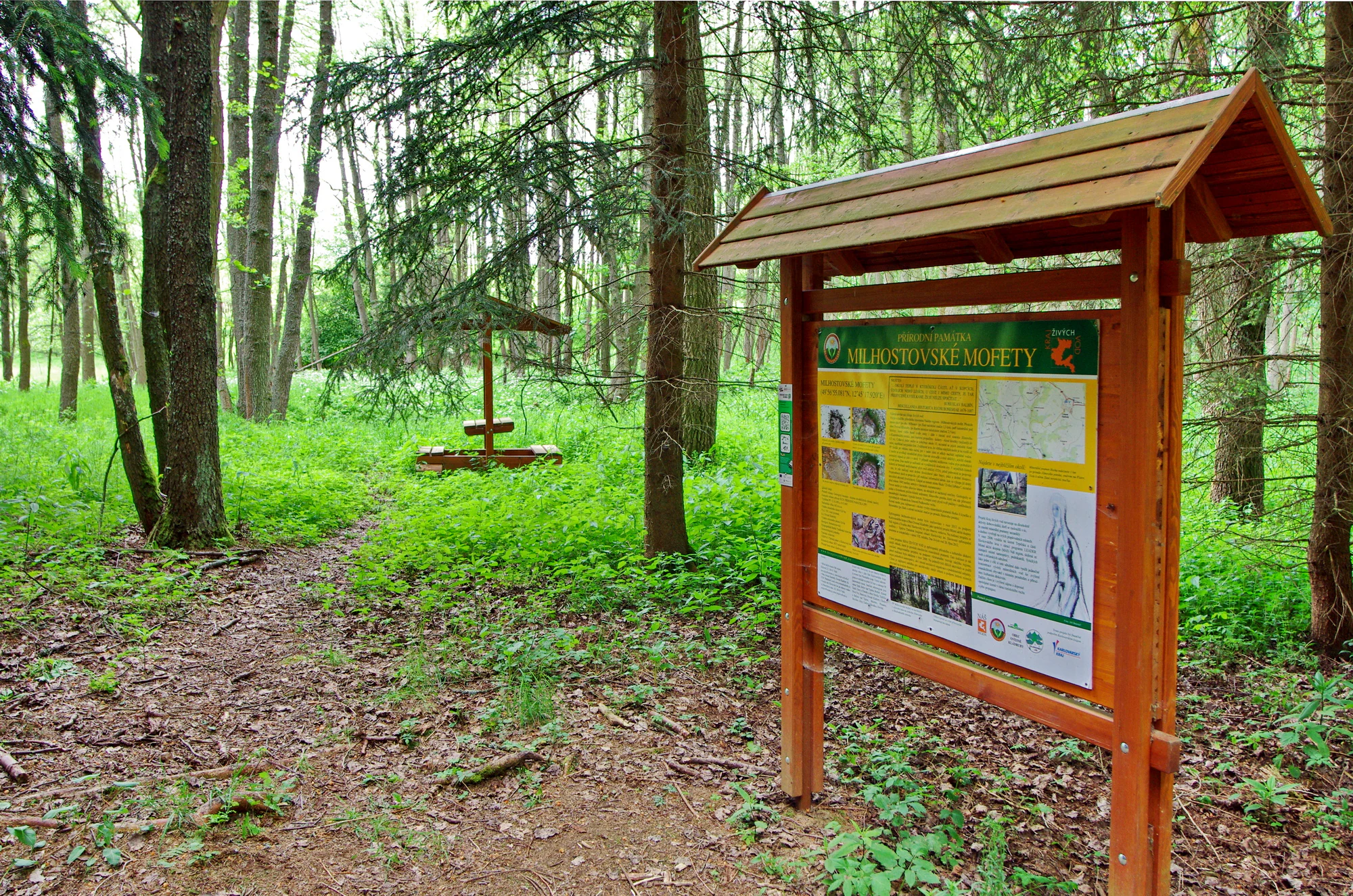 A wooden informational signboard stands on a dirt path in a lush green forest, with a small covered picnic area visible in the background.