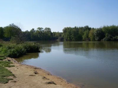 A calm, still pond with a muddy, grassy bank in the foreground and a dense line of trees in the background under a clear sky.