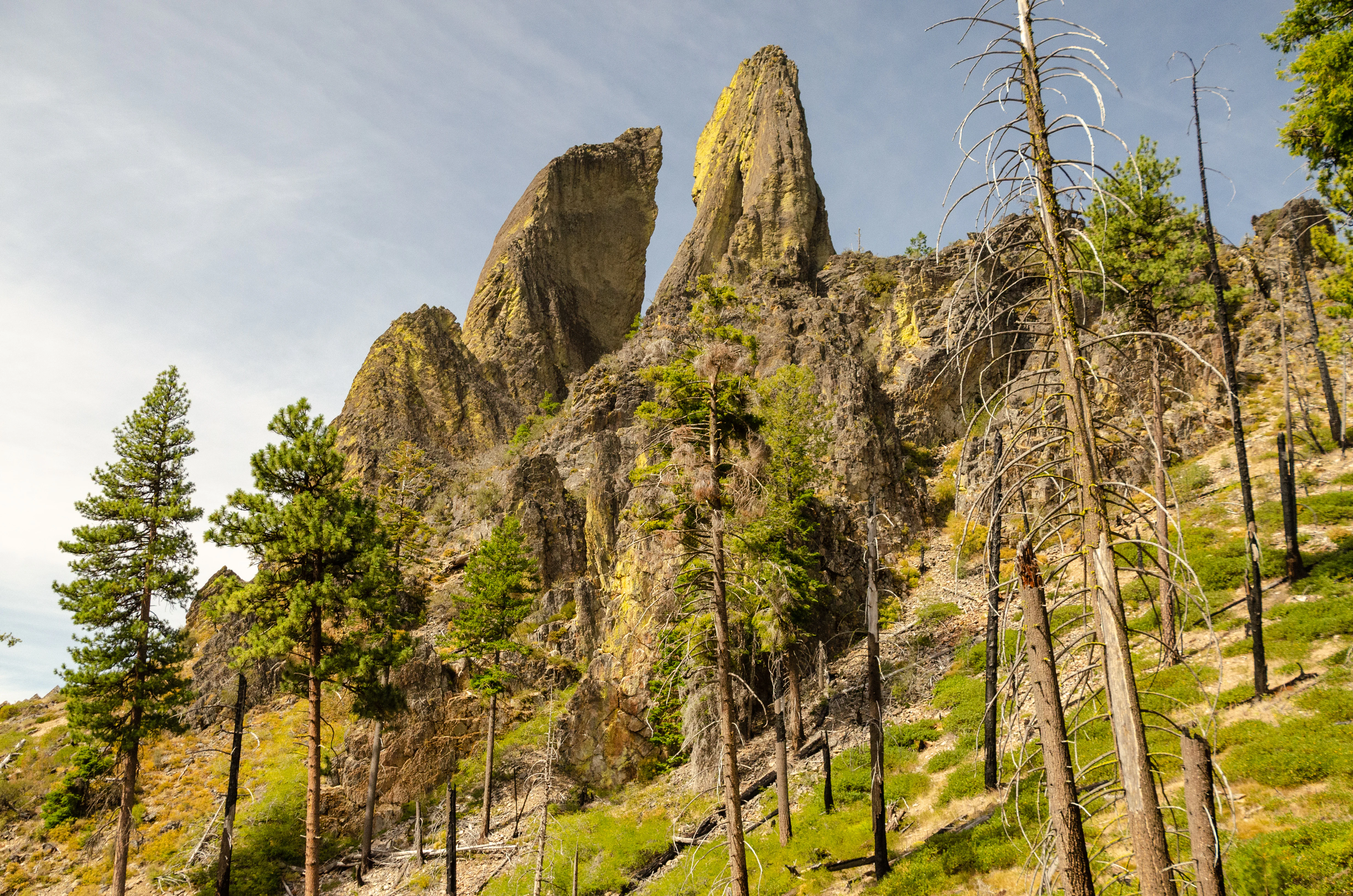 A low-angle view of the Twin Pillars rock formation, two distinct volcanic rock spires rising above a forest slope containing both healthy and fire-damaged dead trees.