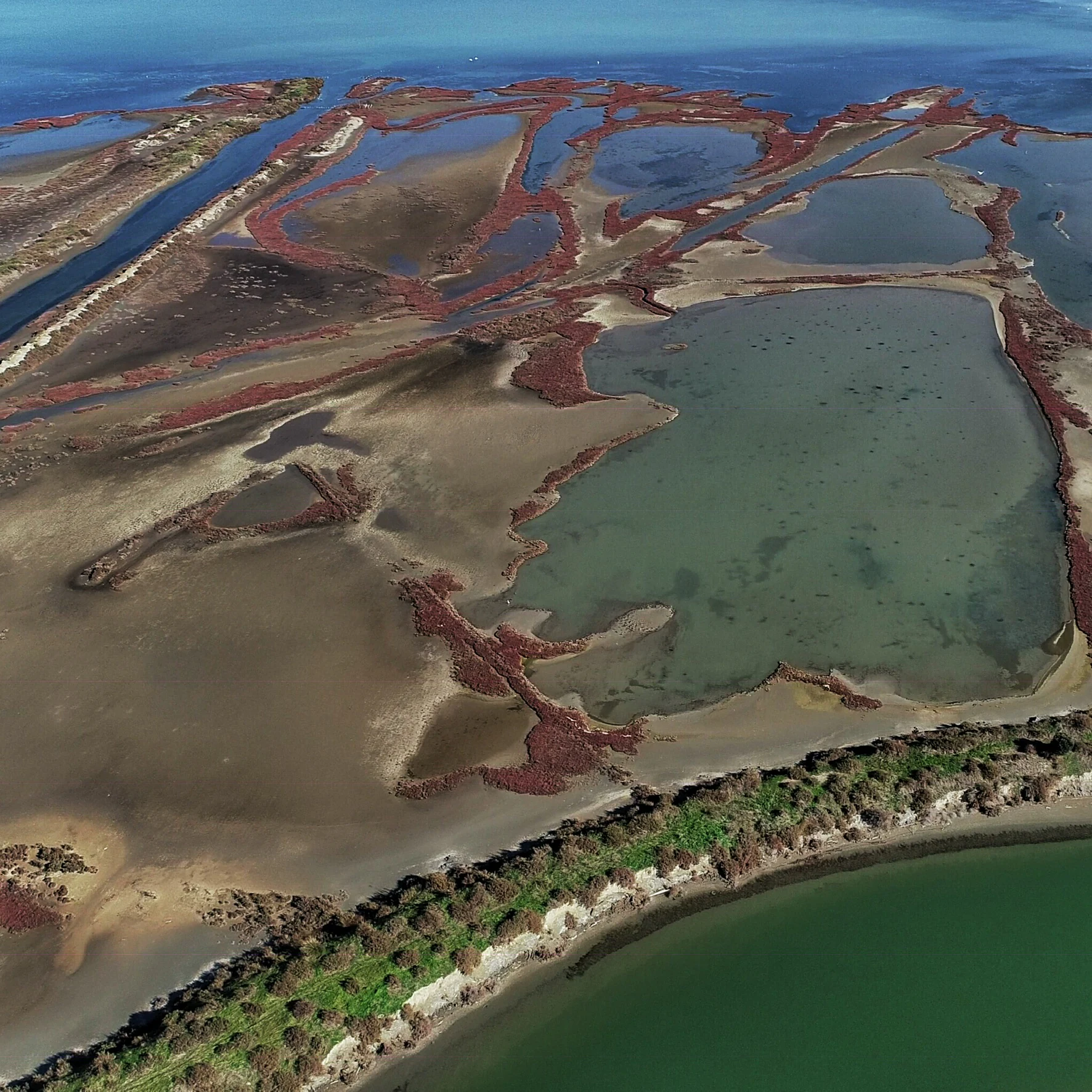 Fotografía aérea con dron de un sistema de lagunas costeras con canales de tierra diferenciados, bancos de sedimento y manchas de vegetación costera rojiza, bordeado por una masa de agua más grande de color verde profundo.