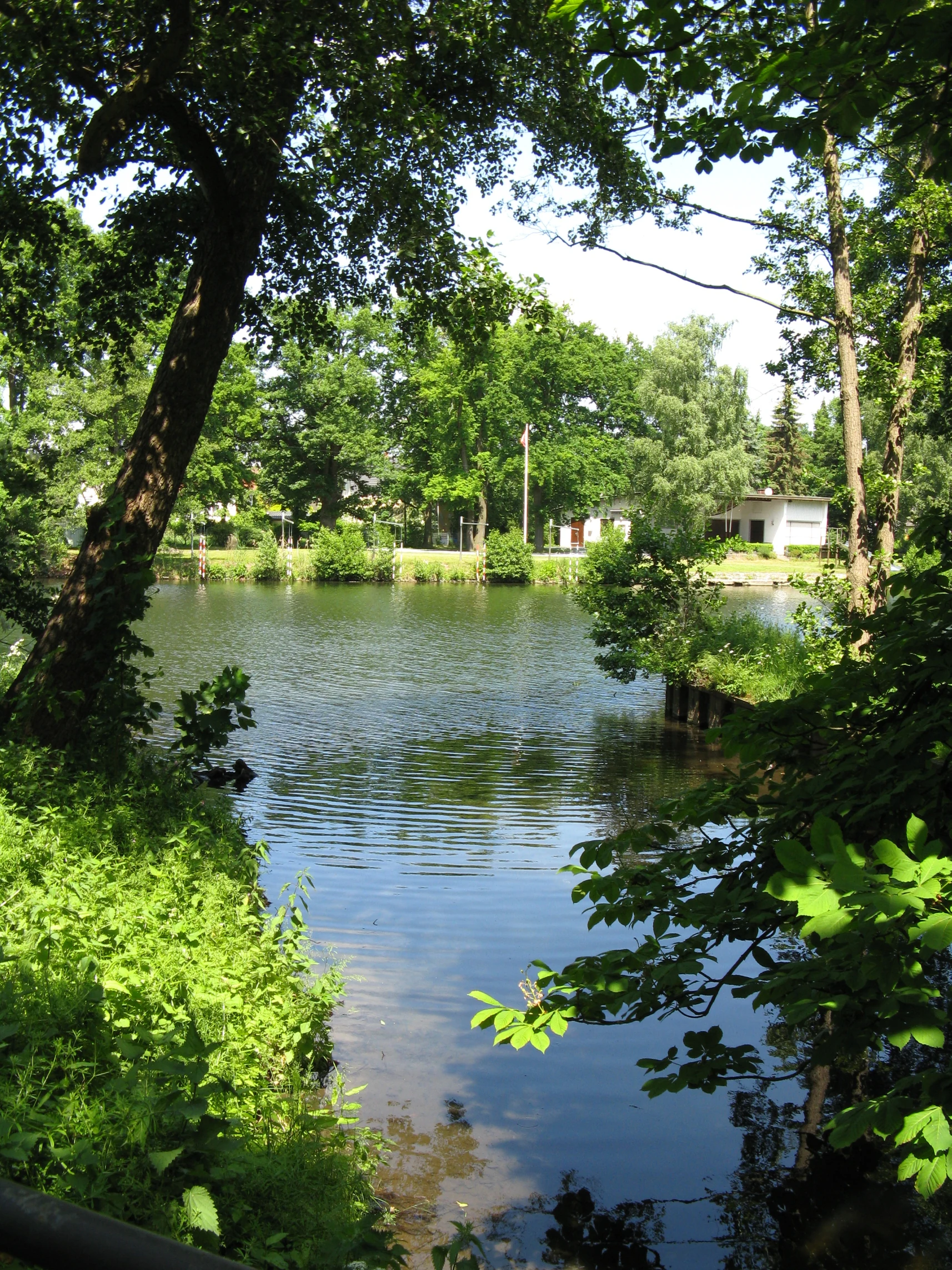 A view of a river confluence surrounded by lush green trees and vegetation on a sunny day.