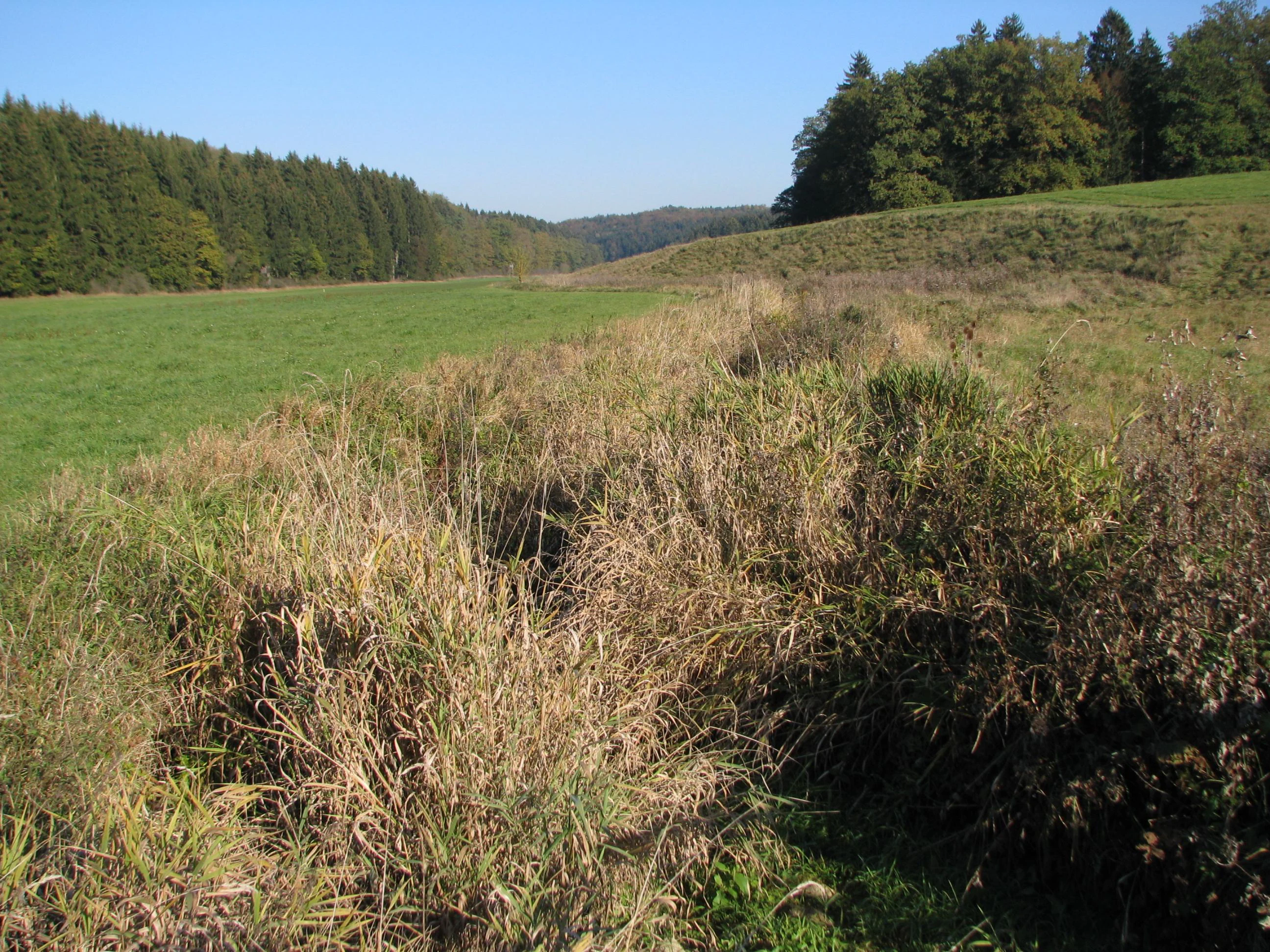 A wide view of a valley floor with a small, partially hidden river running through grasses and bushes, flanked by sloping hills and dense forests under a clear blue sky.