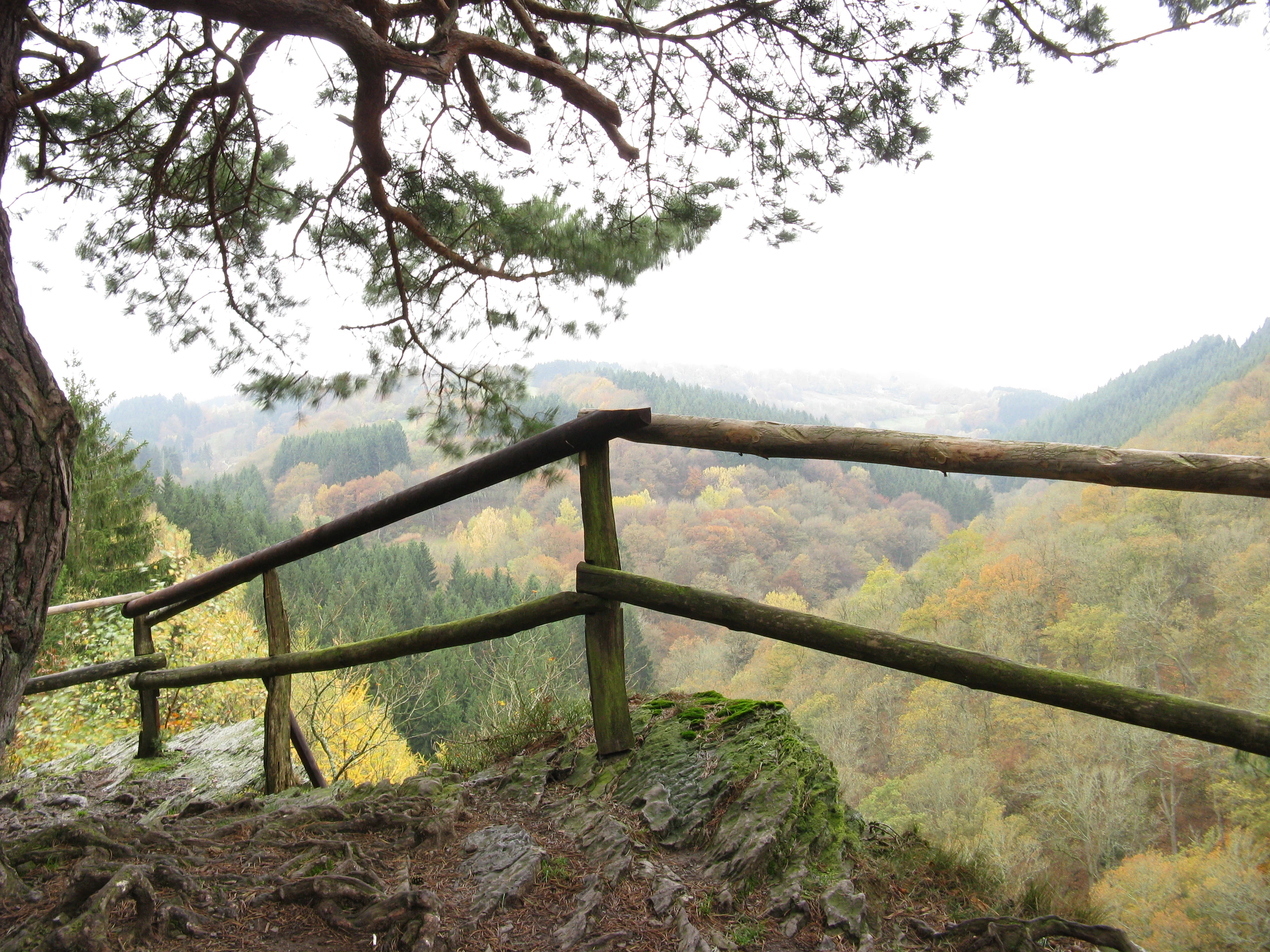 A rustic wooden railing at the edge of a rocky cliff looking out over a forested river valley in autumn.