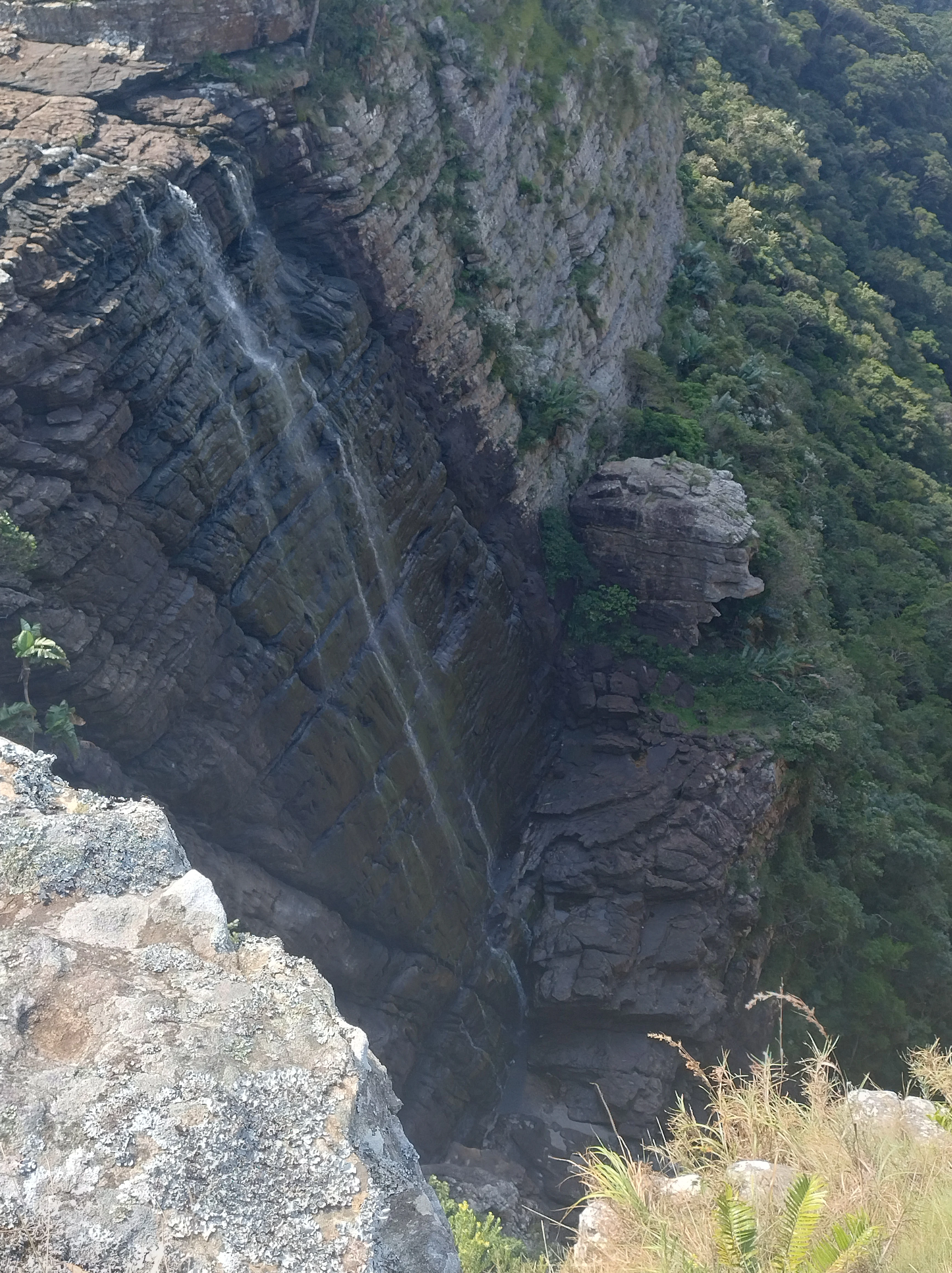 A slender waterfall flows over a steep, rocky cliffside surrounded by lush green coastal vegetation in Mkhambathi Nature Reserve.